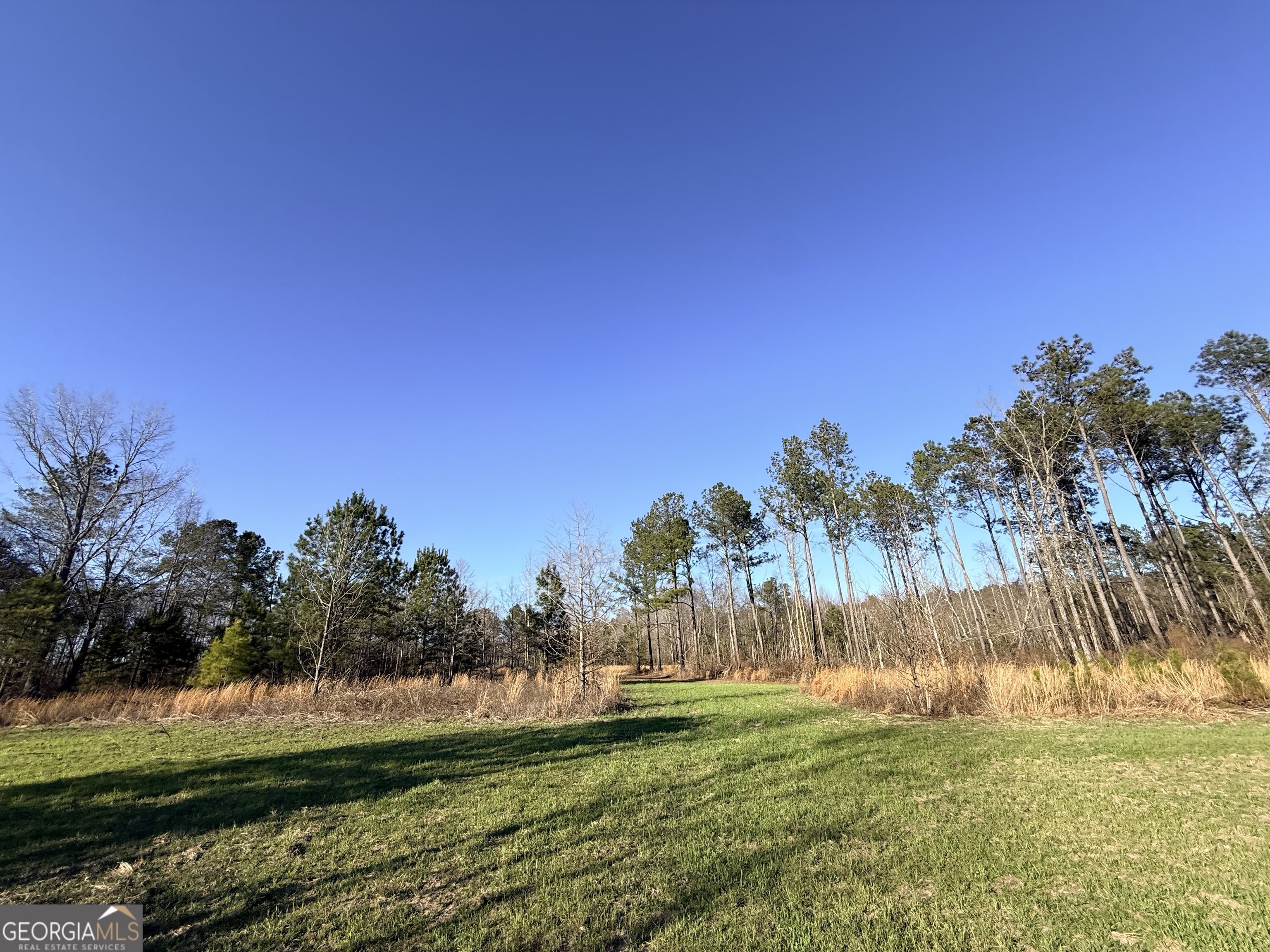 7 Sun Hill Grange Road Davisboro, GA 31018 - Photo 17 of 33