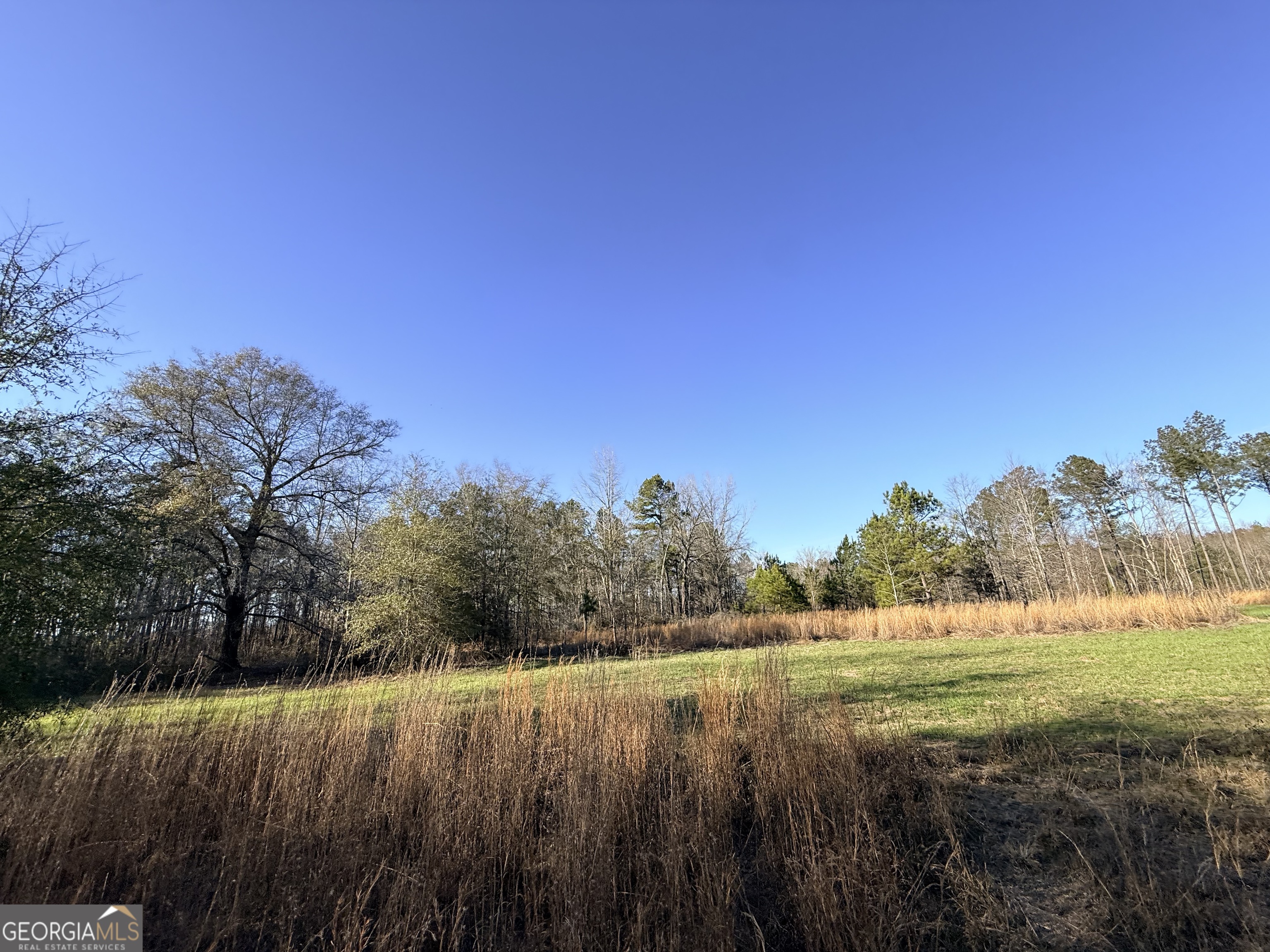 7 Sun Hill Grange Road Davisboro, GA 31018 - Photo 18 of 33