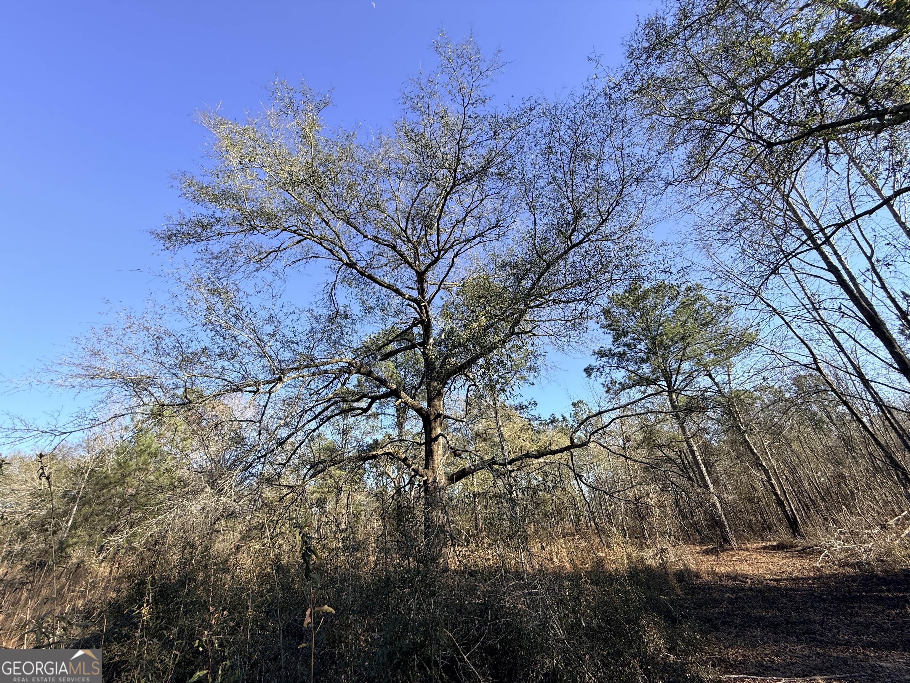 7 Sun Hill Grange Road Davisboro, GA 31018 - Photo 19 of 33