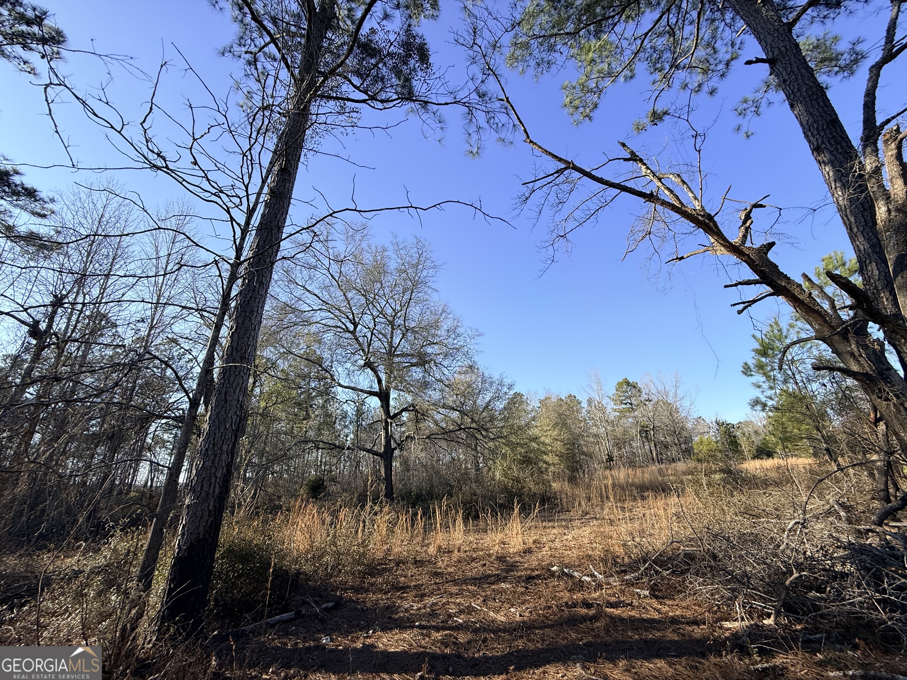 7 Sun Hill Grange Road Davisboro, GA 31018 - Photo 20 of 33