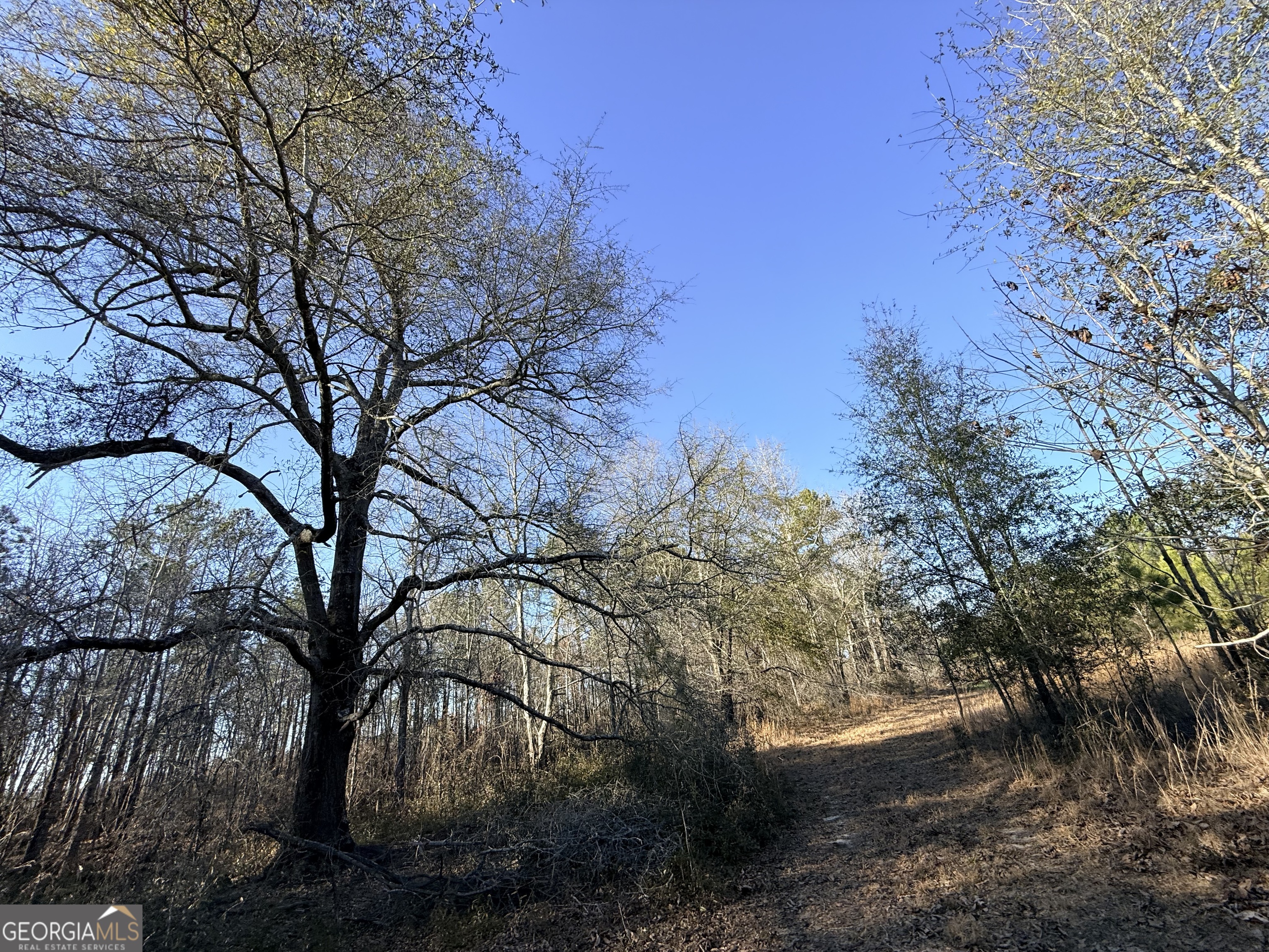 7 Sun Hill Grange Road Davisboro, GA 31018 - Photo 22 of 33