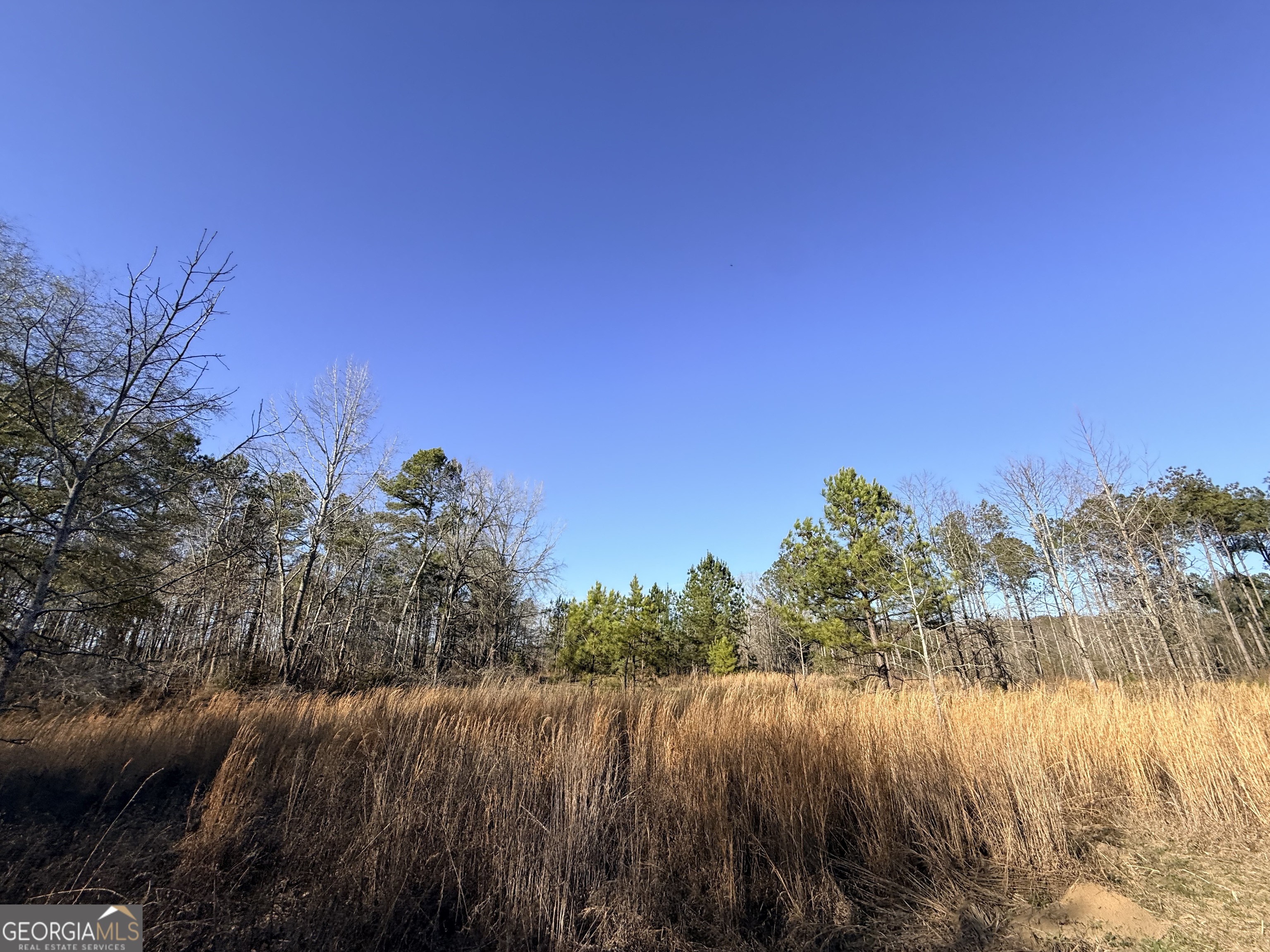 7 Sun Hill Grange Road Davisboro, GA 31018 - Photo 23 of 33