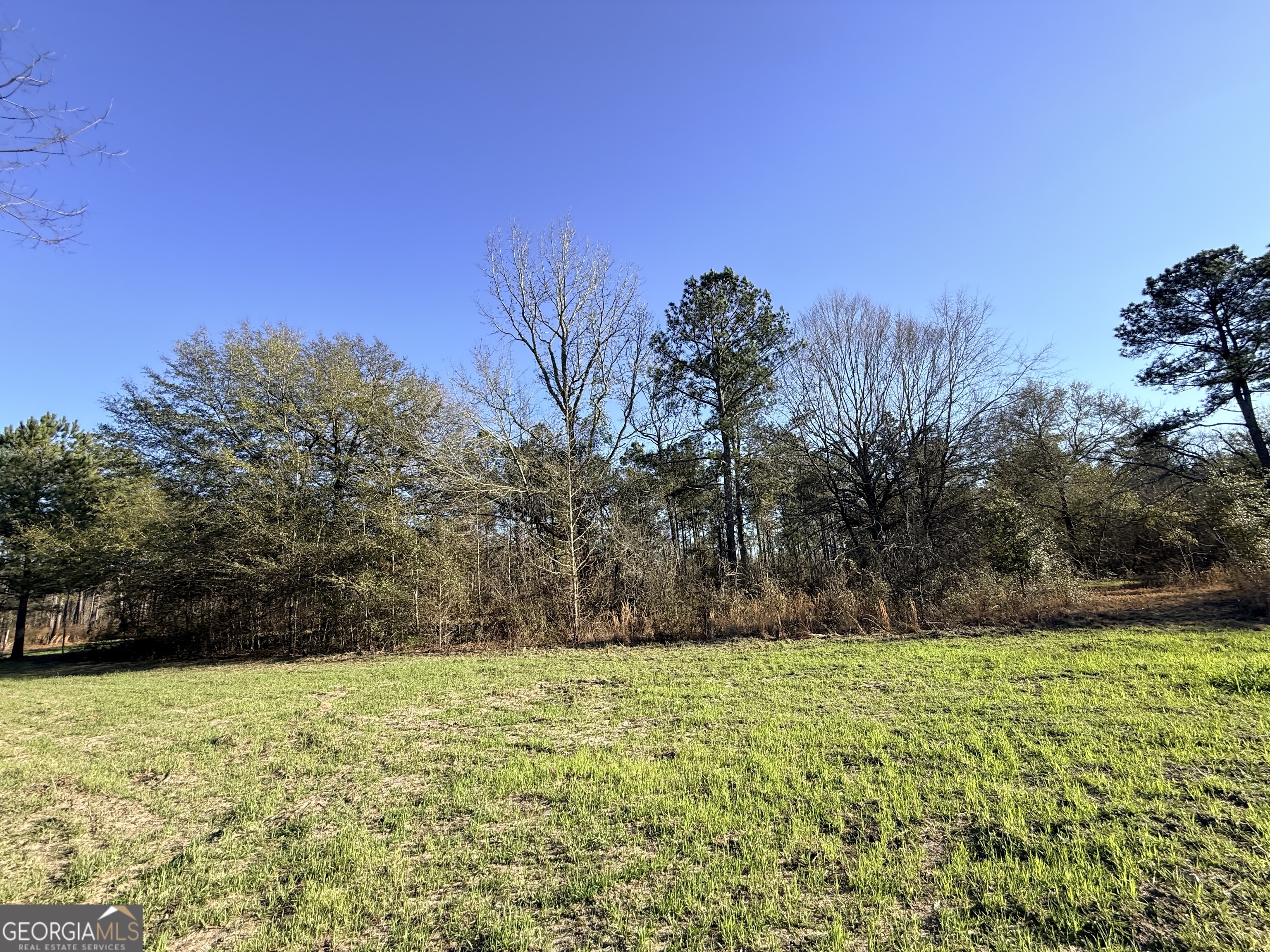 7 Sun Hill Grange Road Davisboro, GA 31018 - Photo 24 of 33