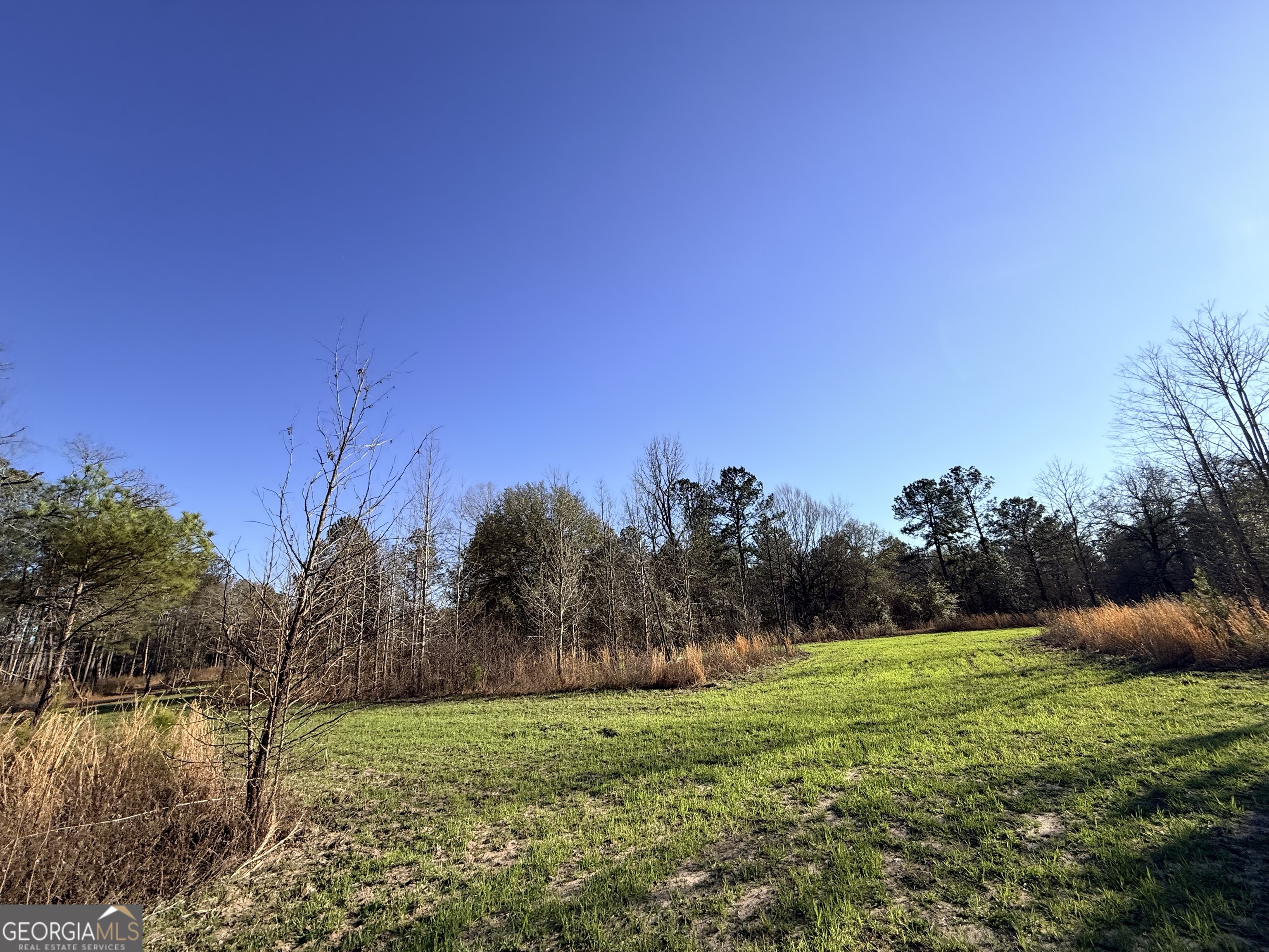 7 Sun Hill Grange Road Davisboro, GA 31018 - Photo 25 of 33