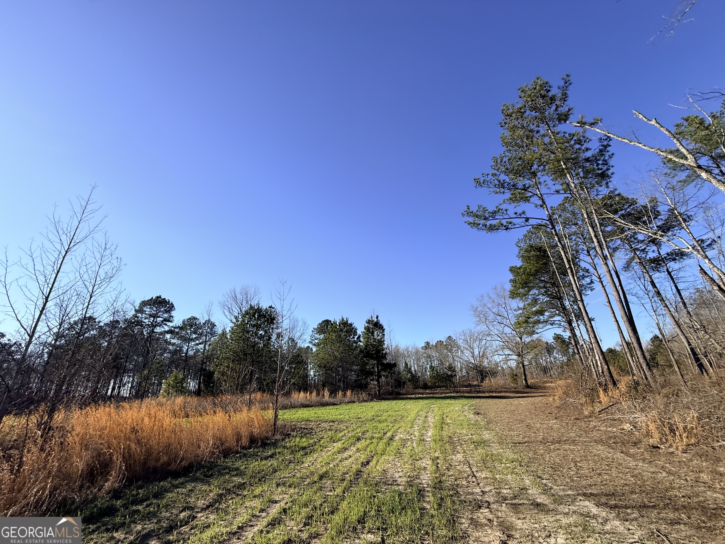 7 Sun Hill Grange Road Davisboro, GA 31018 - Photo 26 of 33