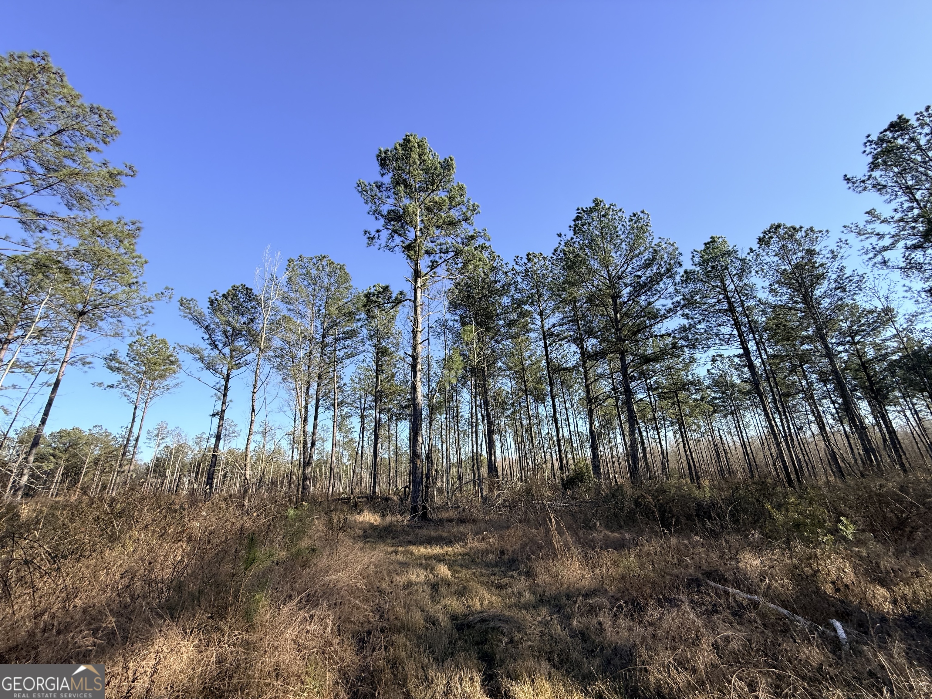 7 Sun Hill Grange Road Davisboro, GA 31018 - Photo 27 of 33