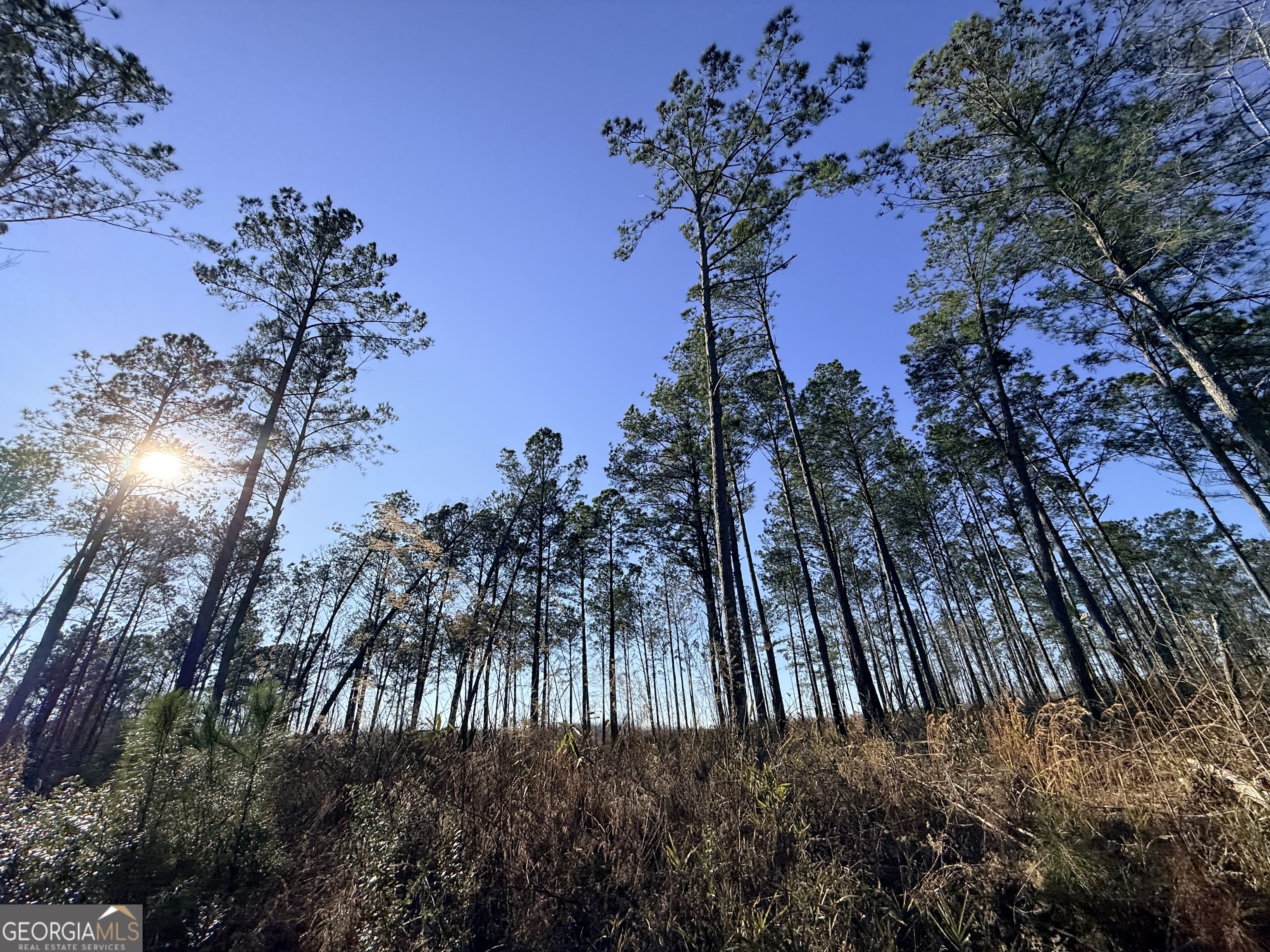 7 Sun Hill Grange Road Davisboro, GA 31018 - Photo 28 of 33