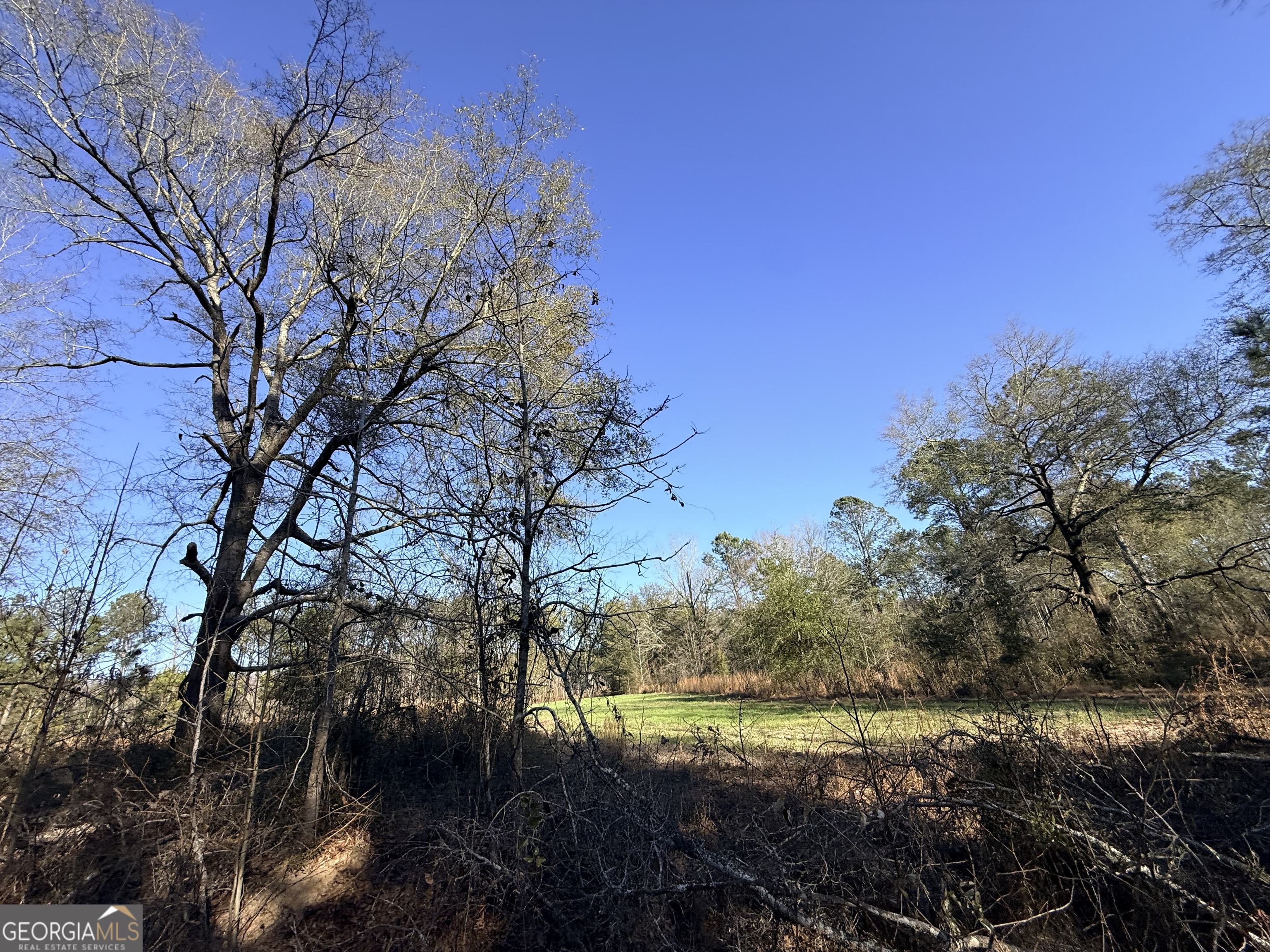 7 Sun Hill Grange Road Davisboro, GA 31018 - Photo 29 of 33