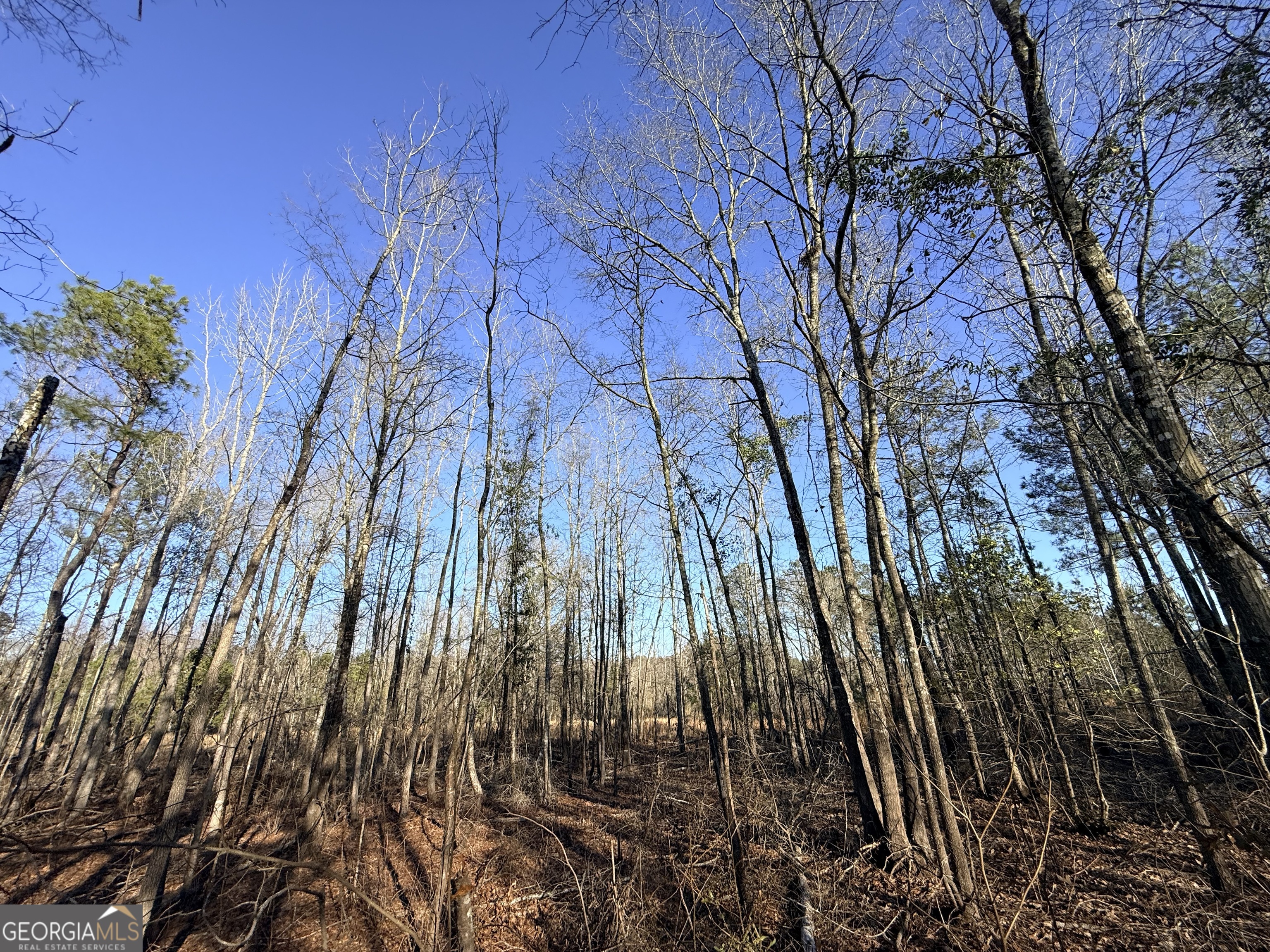 7 Sun Hill Grange Road Davisboro, GA 31018 - Photo 3 of 33