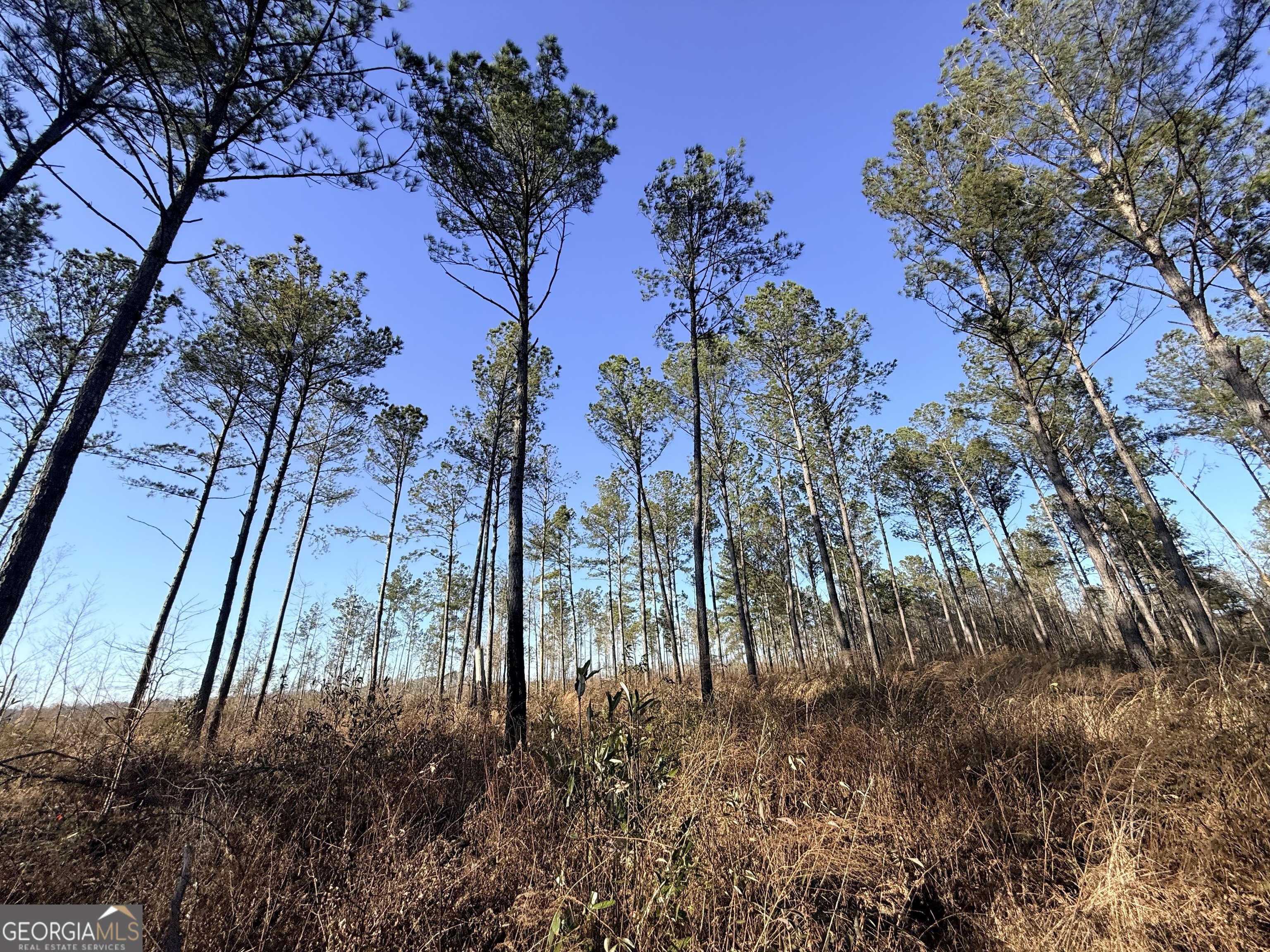 7 Sun Hill Grange Road Davisboro, GA 31018 - Photo 4 of 33