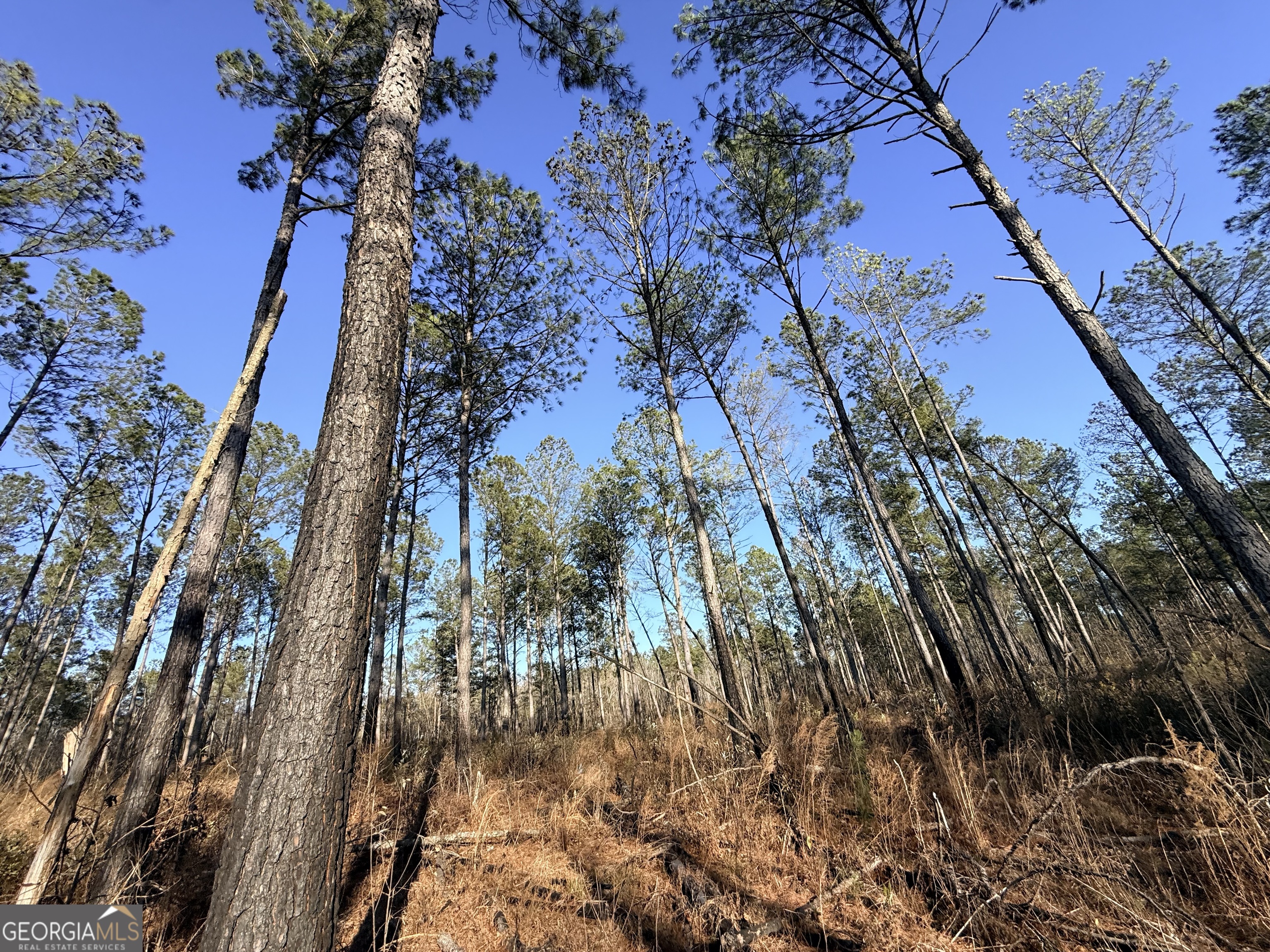 7 Sun Hill Grange Road Davisboro, GA 31018 - Photo 5 of 33
