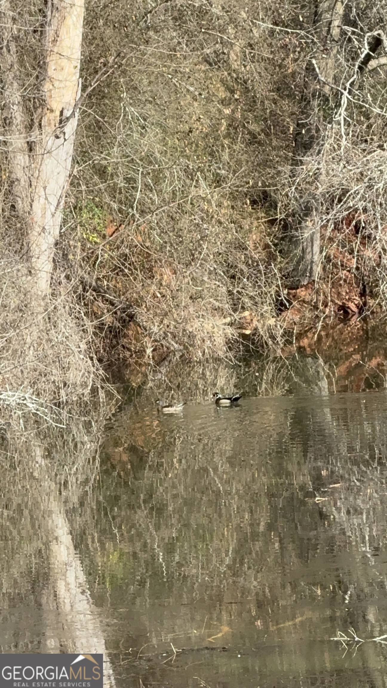 7 Sun Hill Grange Road Davisboro, GA 31018 - Photo 7 of 33