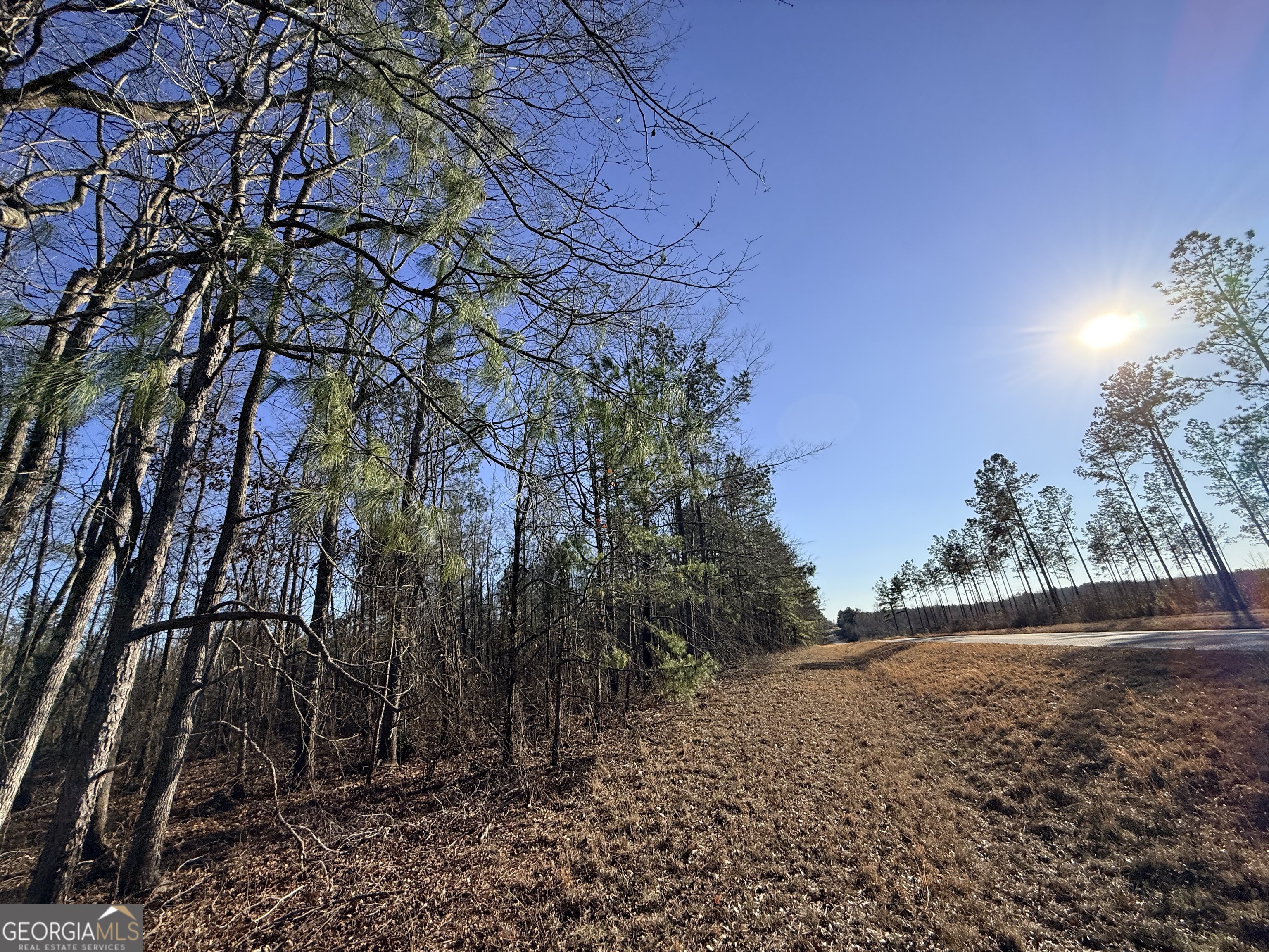 7 Sun Hill Grange Road Davisboro, GA 31018 - Photo 10 of 33