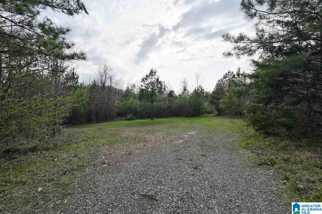 0 Joy Road Blountsville, AL 35031 - Photo 5 of 22