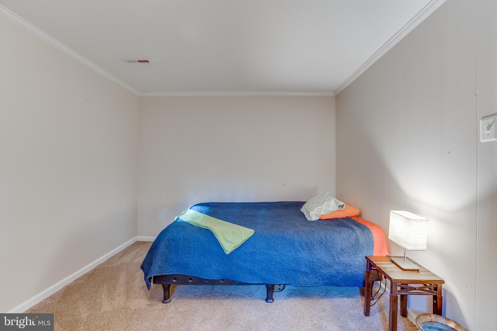 14316 Spriggs Road Woodbridge, VA 22193 - Photo 54 of 85 Lower Level - Bonus Room