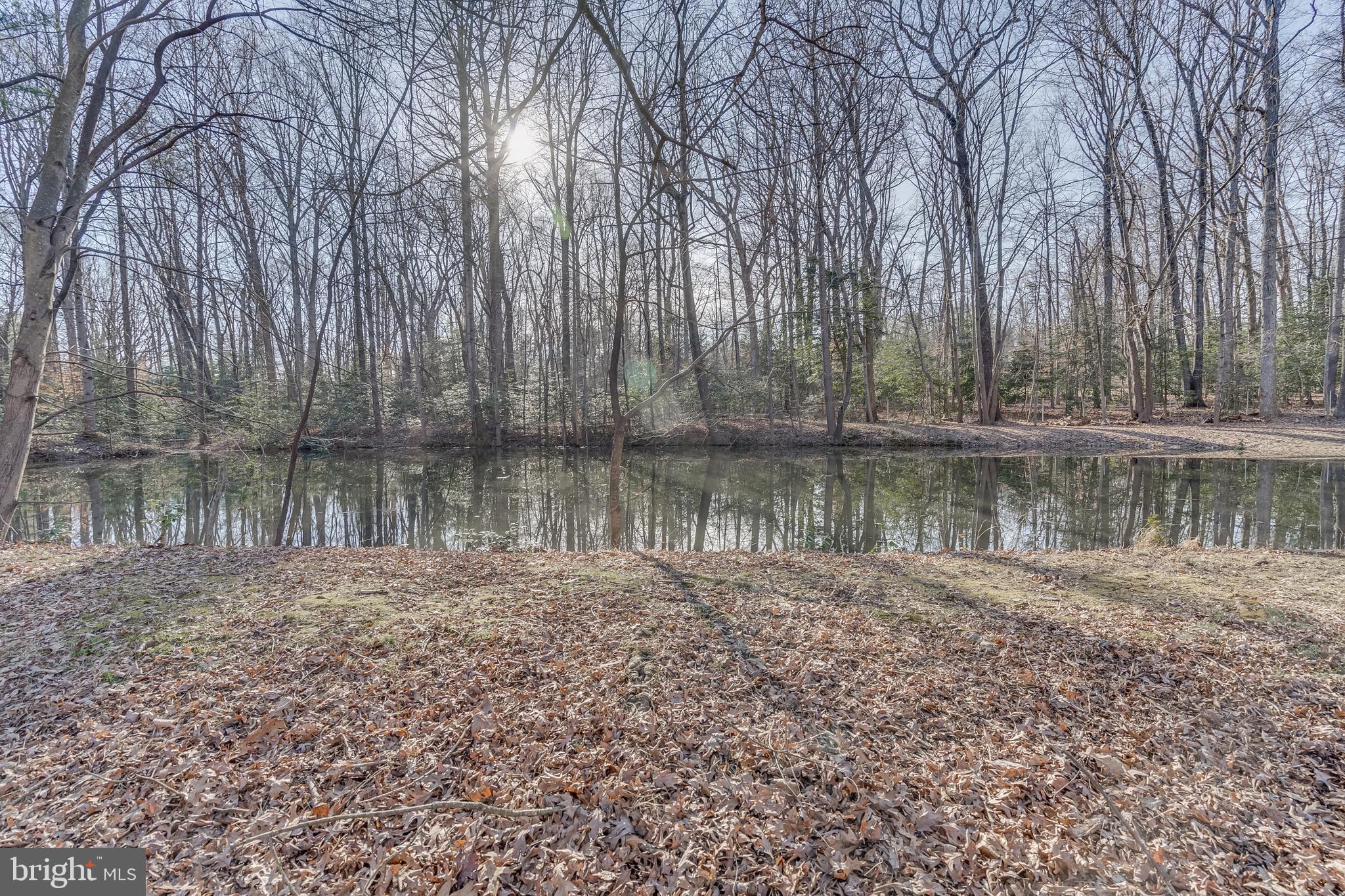 14316 Spriggs Road Woodbridge, VA 22193 - Photo 69 of 85 Exterior - Pond at the Back of the lot