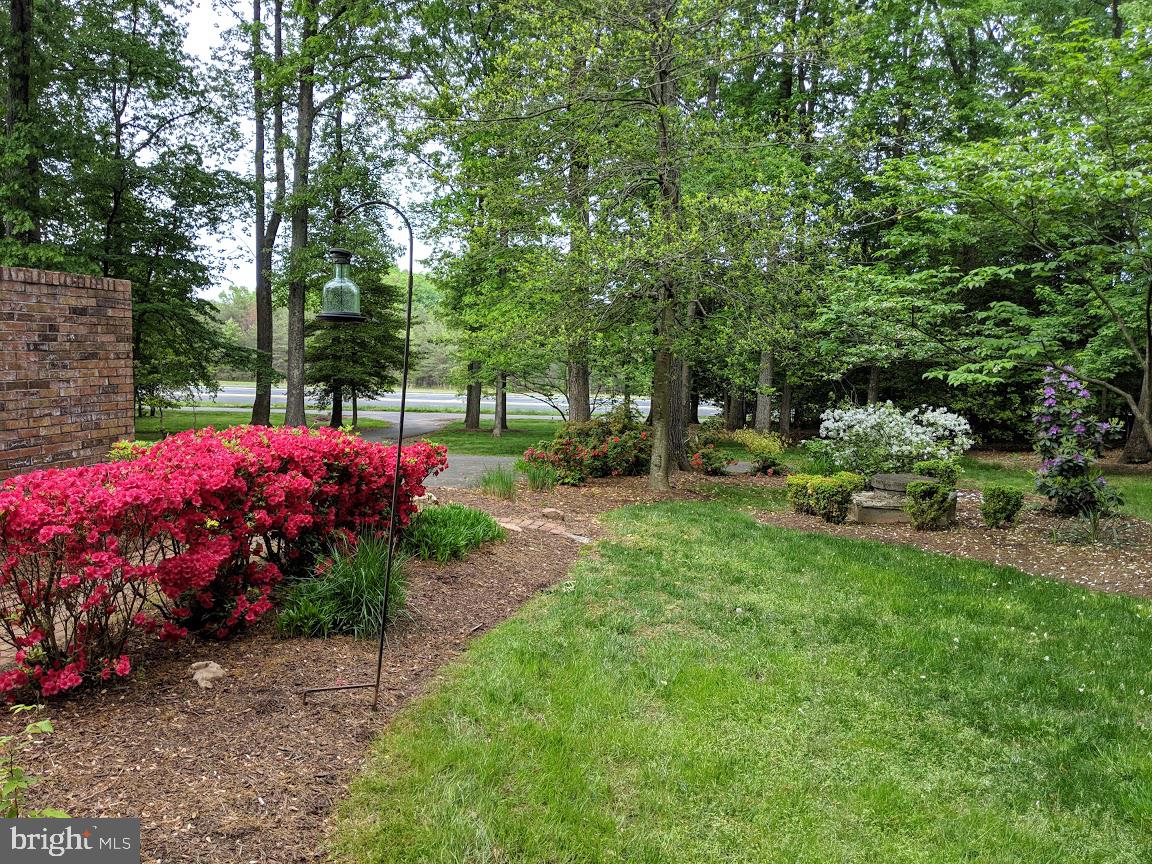 14316 Spriggs Road Woodbridge, VA 22193 - Photo 72 of 85 Summertime Bloom