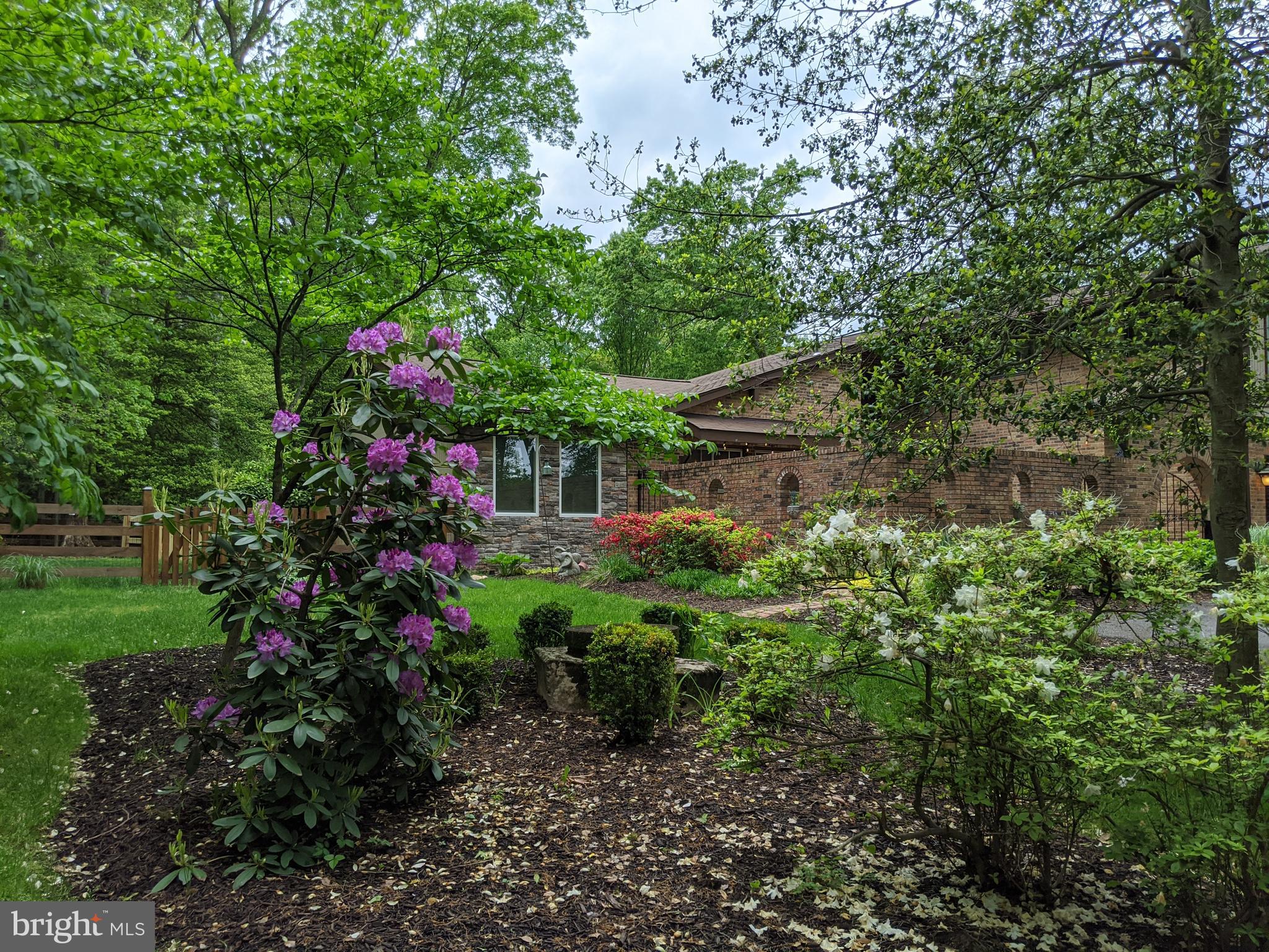 14316 Spriggs Road Woodbridge, VA 22193 - Photo 77 of 85 Spring /Summer - Rhododendrons in Full Bloom