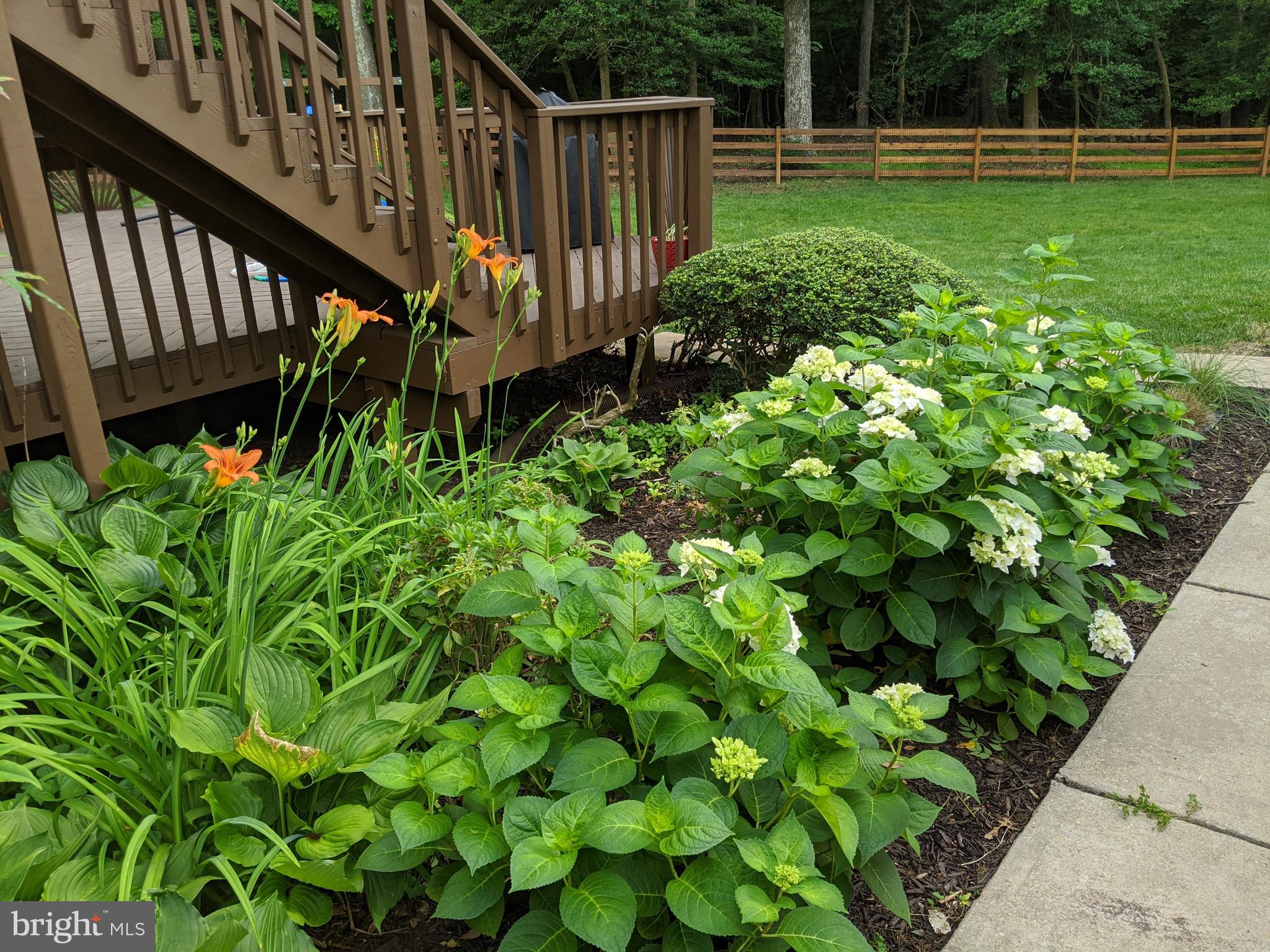 14316 Spriggs Road Woodbridge, VA 22193 - Photo 80 of 85 Gallery Image 80