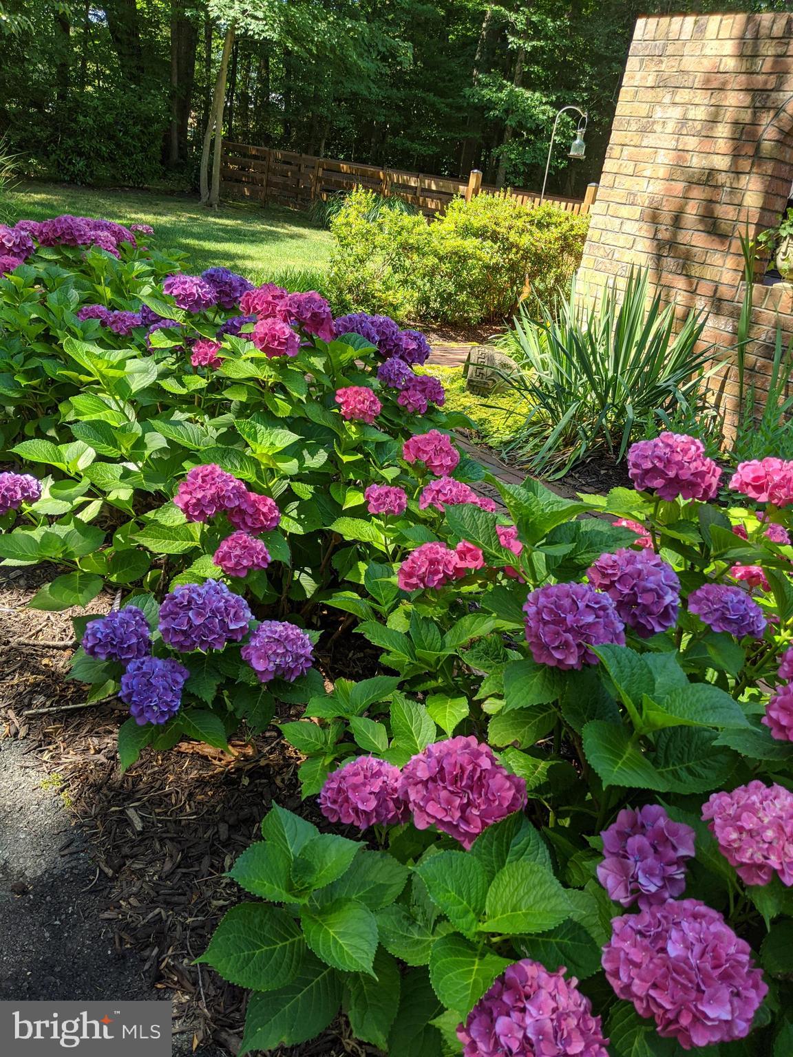 14316 Spriggs Road Woodbridge, VA 22193 - Photo 81 of 85 Gallery Image 81