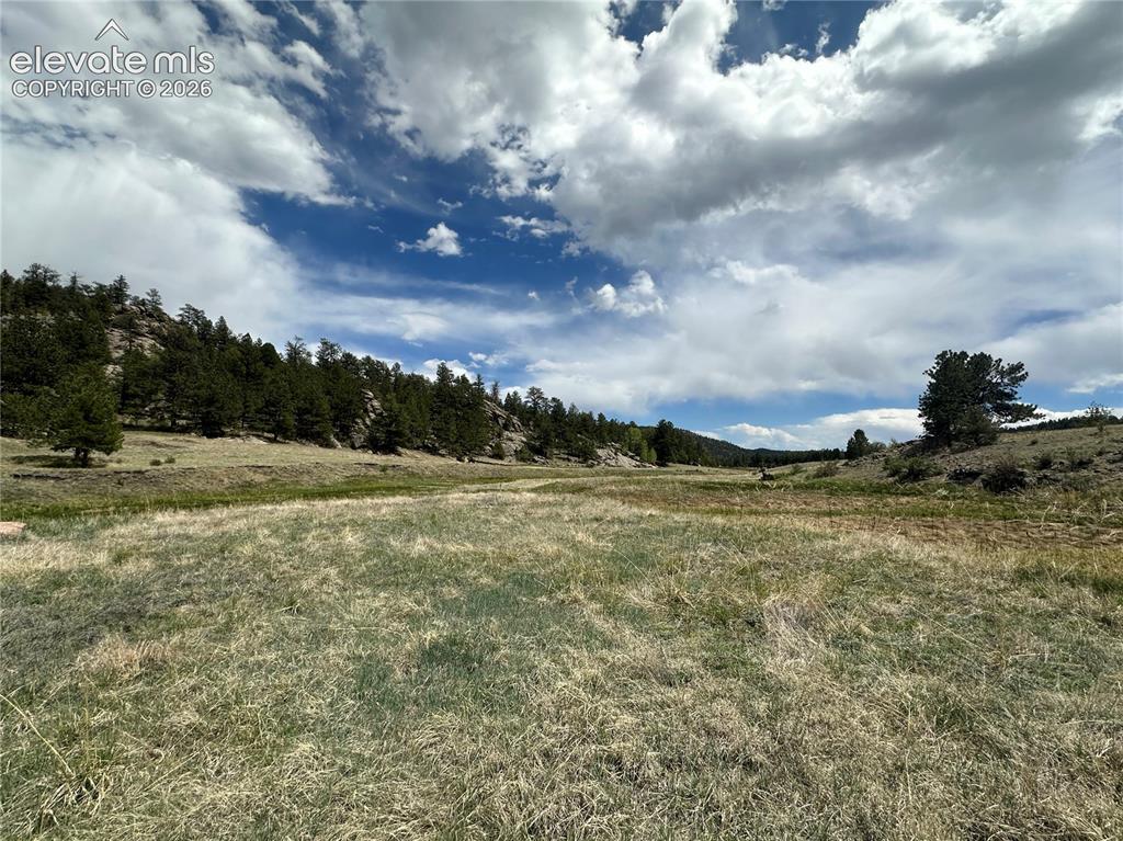 2332 County Road Florissant, CO 80816 - Photo 4 of 20 Gallery Image 4