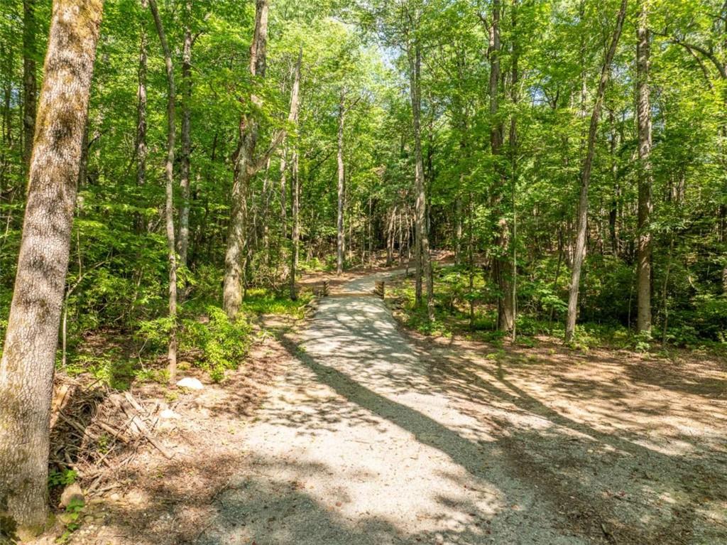 1298 Cold Stream Trail Jasper, GA 30143 - Photo 9 of 57