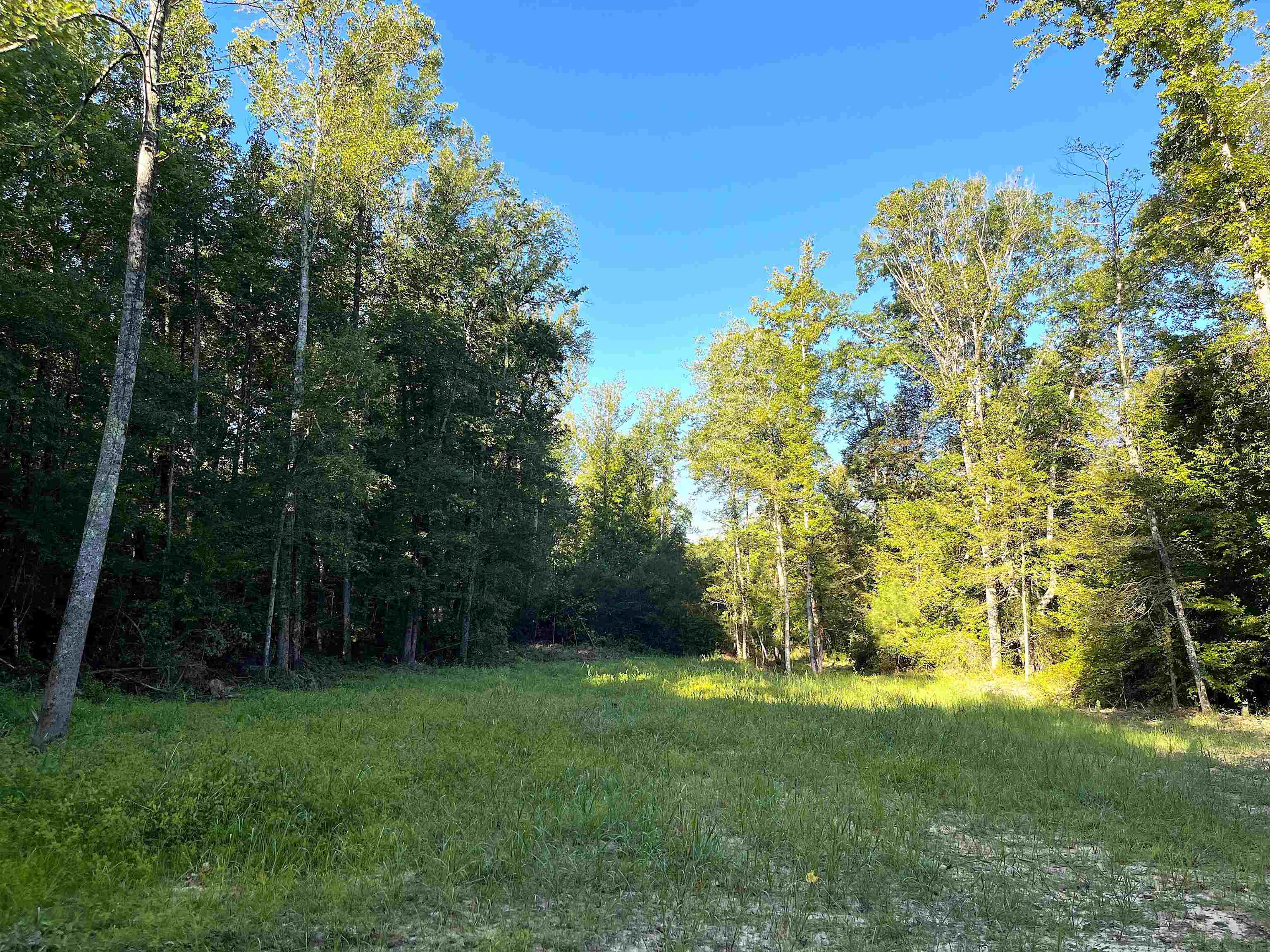 1900 Piney Grove Road Henderson, TN 38340 - Photo 1 of 9