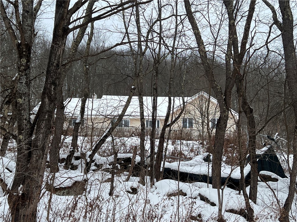 1121 Kiff Brook Road Kortright, NY 13739 - Photo 50 of 50