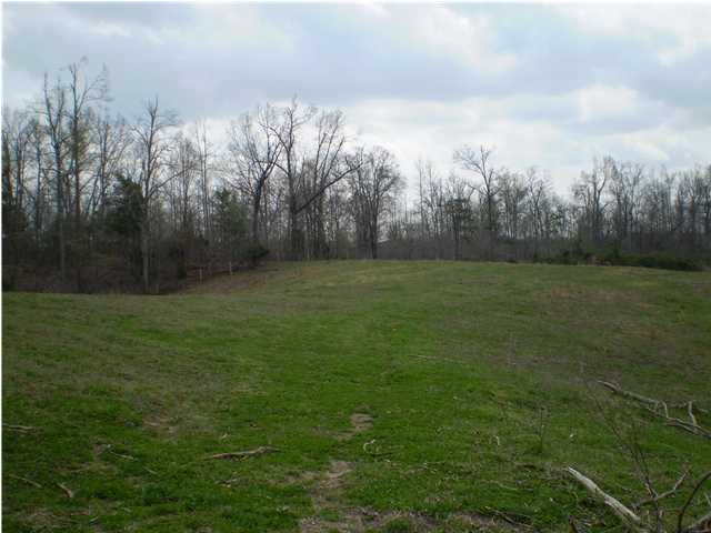 0 Doc Speevack Road Munfordville, KY 42765 - Photo 1 of 2 Primary Photo