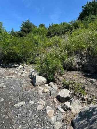 $699,000 | 0 Vermont Route 125, Bridport, VT 05734