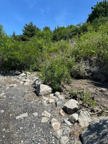 $699,000 | 0 Vermont Route 125, Bridport, VT 05734