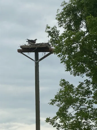 $699,000 | 0 Vermont Route 125, Bridport, VT 05734