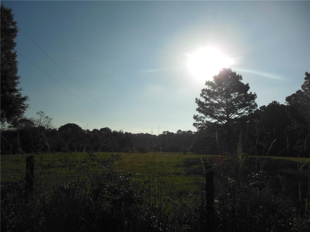 62038 Friendship Church Road Amite, LA 70422 - Photo 3 of 37 Gallery Image 3