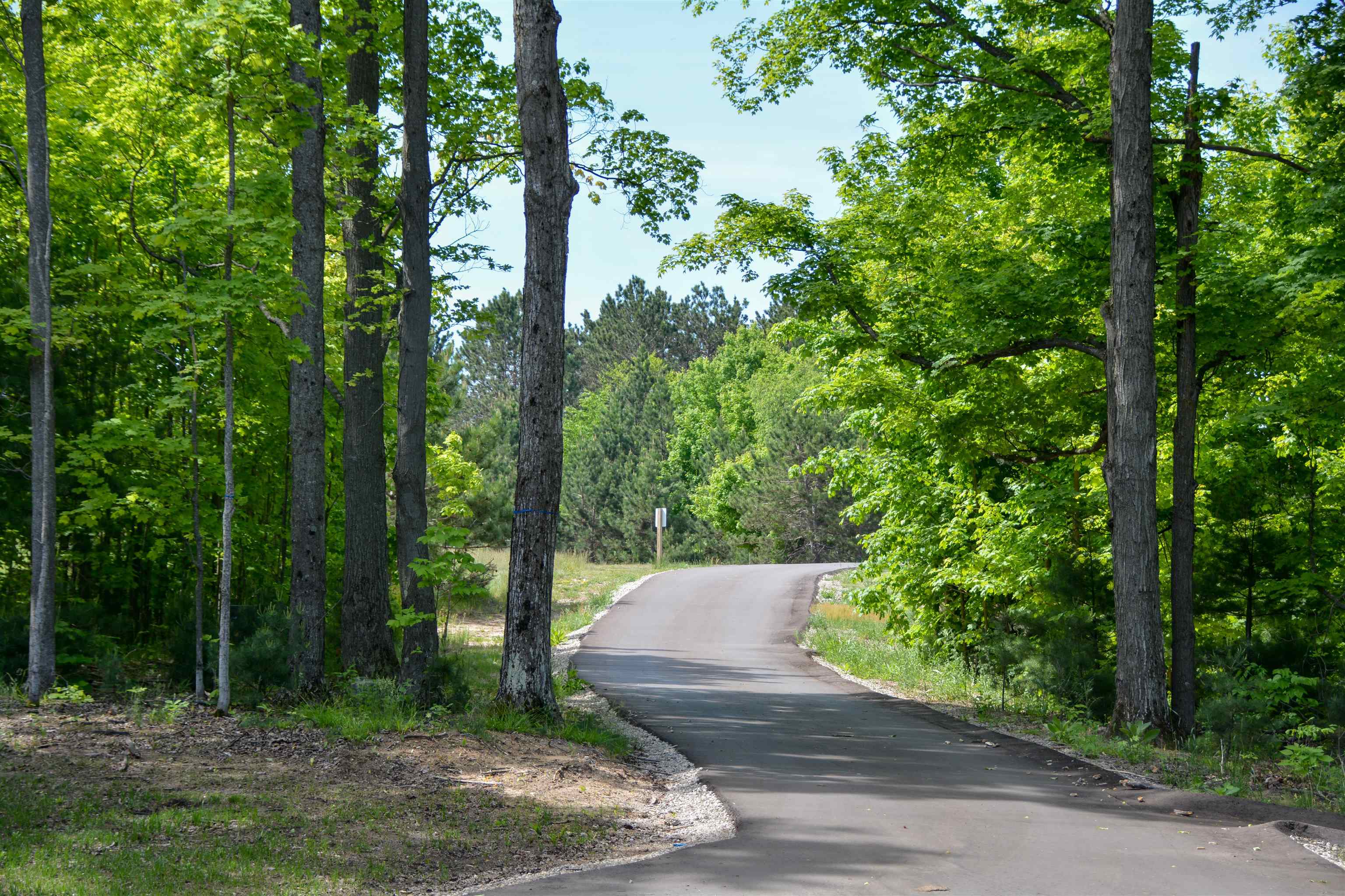 2609 Big Sky Road, Unit LOT: 27 Kingsley, MI 49649 - Photo 51 of 53