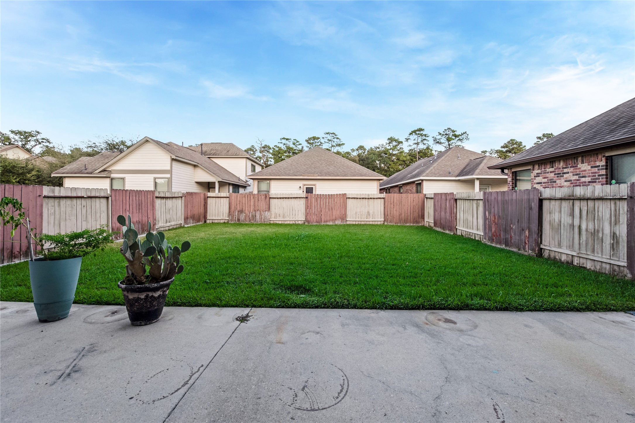 25142 Andris Lane Spring, TX 77386 - Photo 22 of 24 Nice Sized backyard