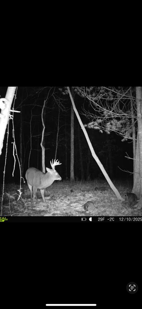 0 Culberson Road Murphy, NC 28906 - Photo 2 of 11