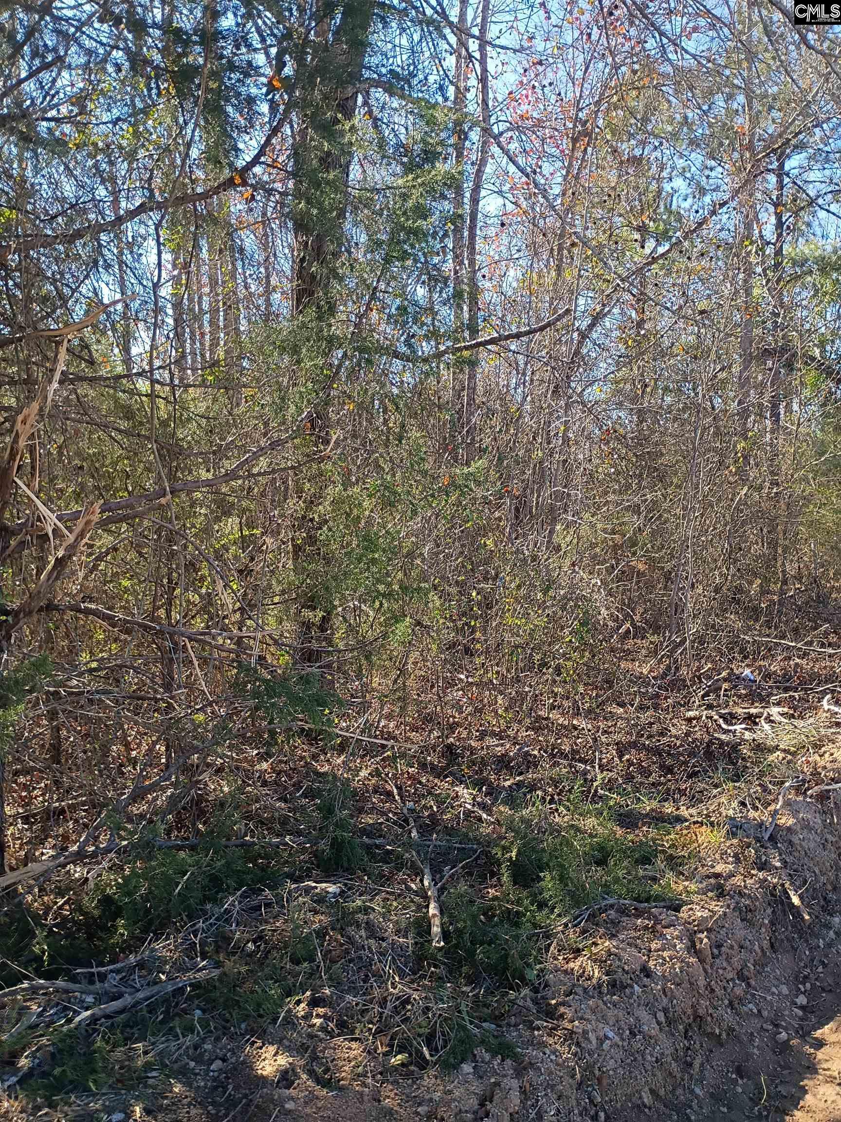 1163 June Berry Road Camden, SC 29020 - Photo 9 of 20