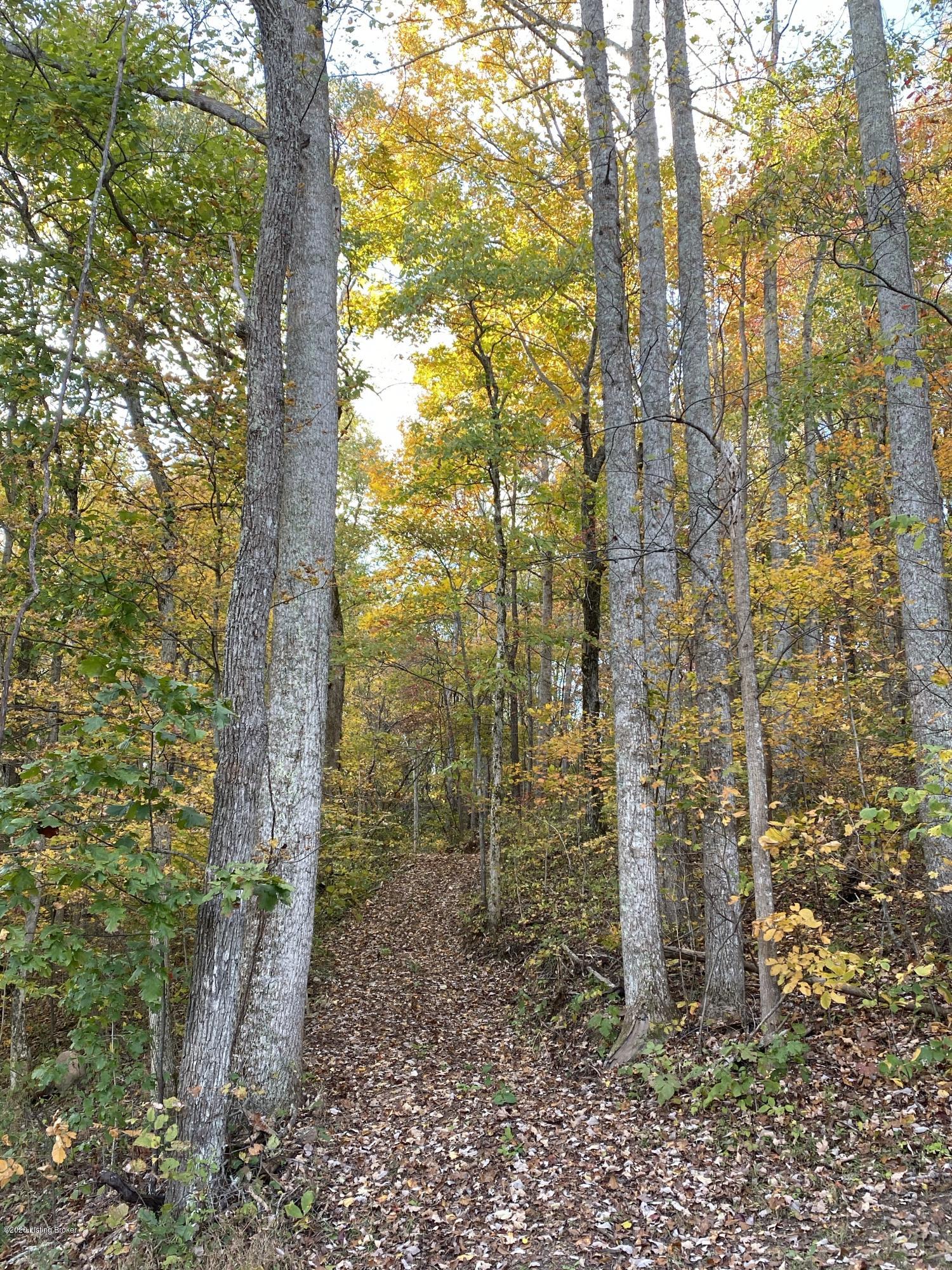 1564 High Ridge Road Middleburg, KY 42541 - Photo 35 of 37 1564 High Ridge RdPhoto45.jpg