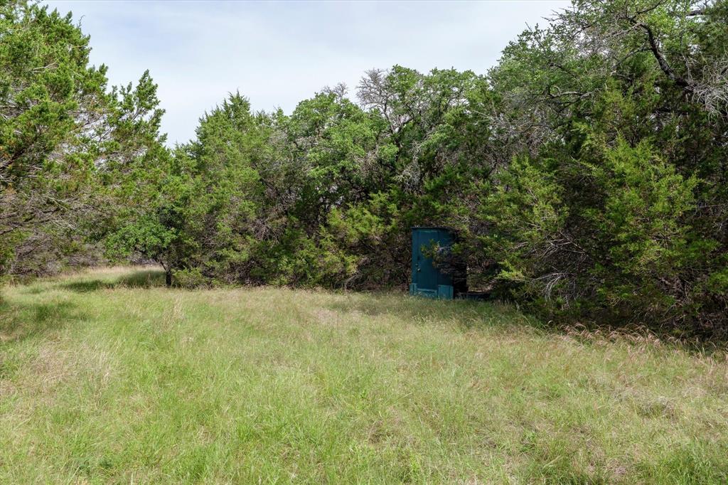 Mustang-a Mustang Road Purmela, TX 76566 - Photo 12 of 18 a view of a yard with trees