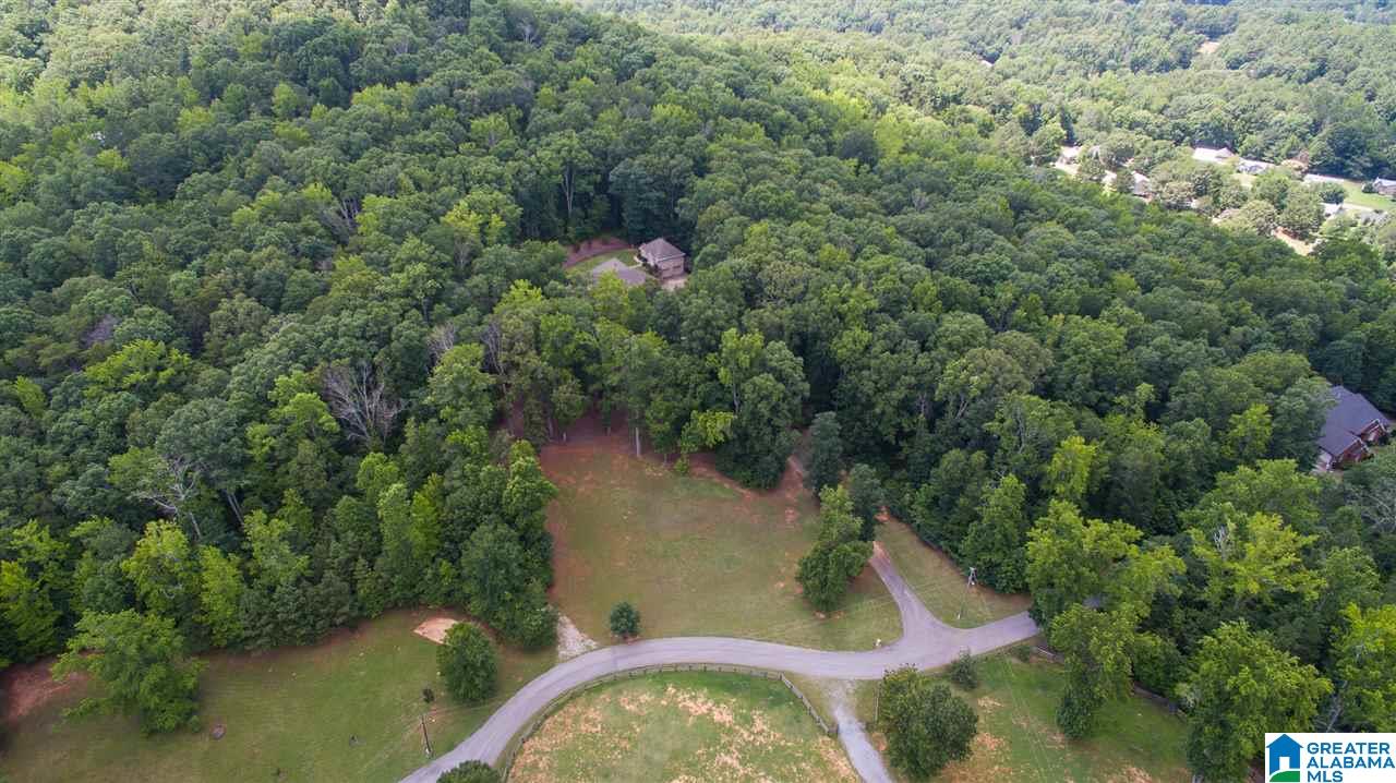 167 Oakleigh Lane Springville, AL 35146 - Photo 50 of 50