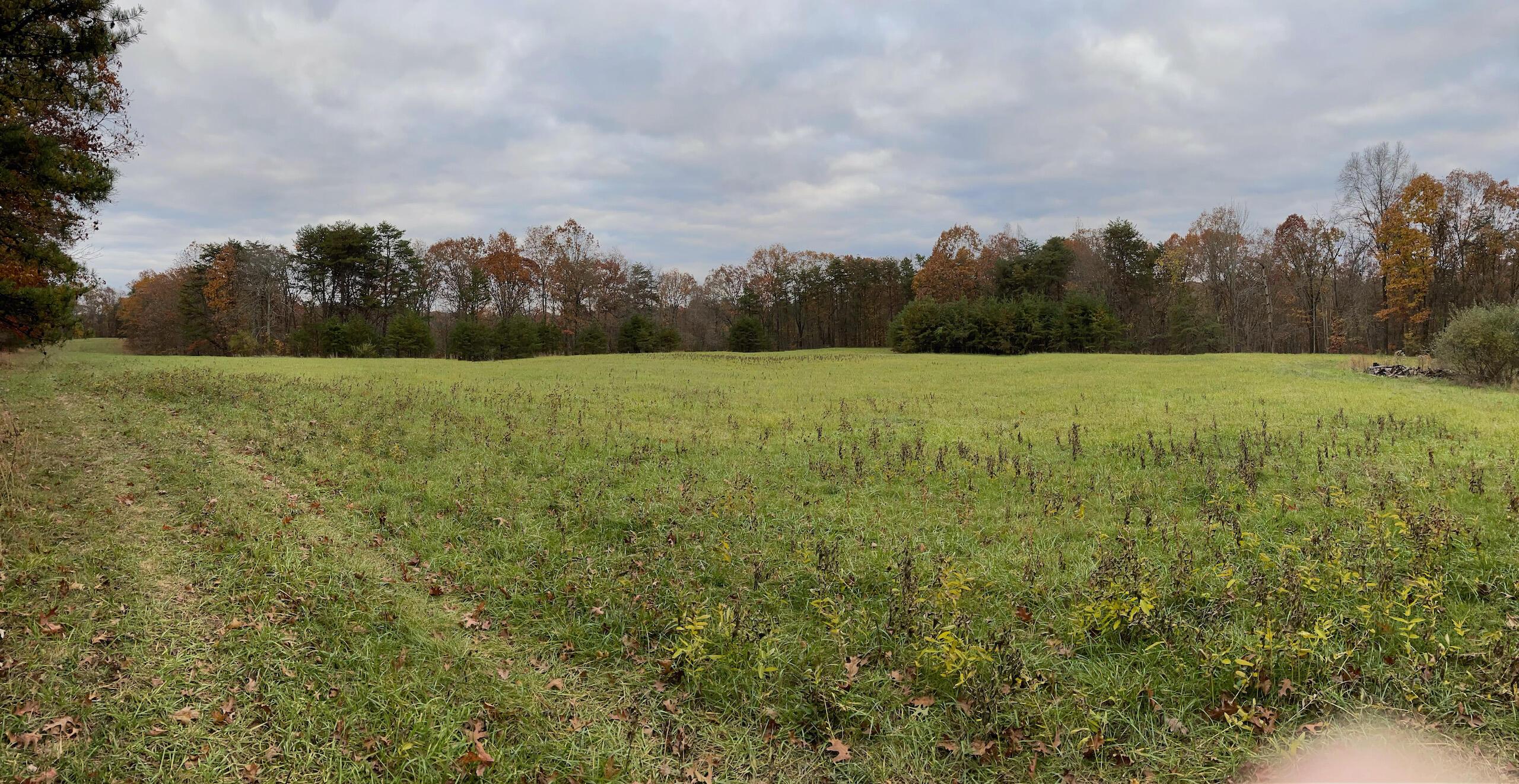 8656 Federal Road Cutler, OH 45724 - Photo 1 of 34 FeaturePhoto