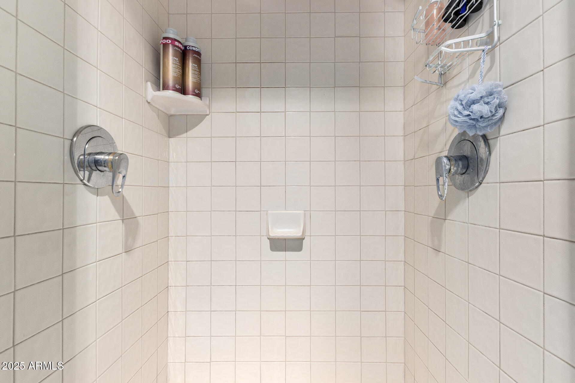 3203 East Ellis Street Mesa, AZ 85213 - Photo 54 of 67 45 - Ellis