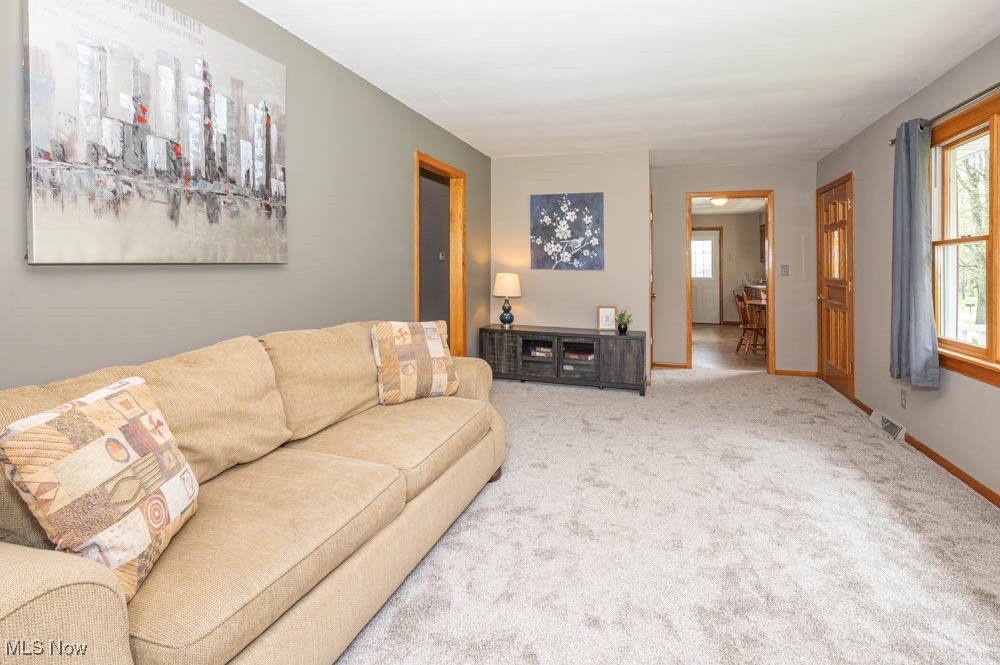 7131 Drake State Line Road Burghill, OH 44404 - Photo 10 of 49 Gallery Image 10