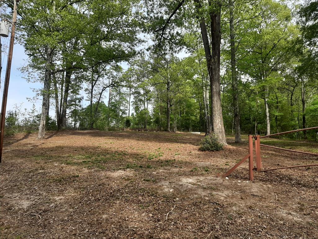 N/a Youngblood Road Gordon, GA 31031 - Photo 1 of 8 Main View
