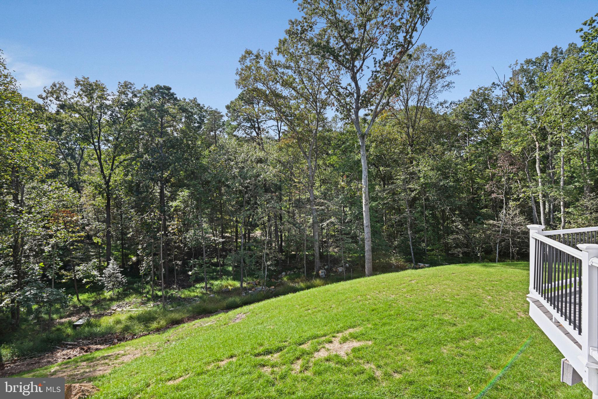 10900 Hunter Station Road Vienna, VA 22181 - Photo 106 of 110