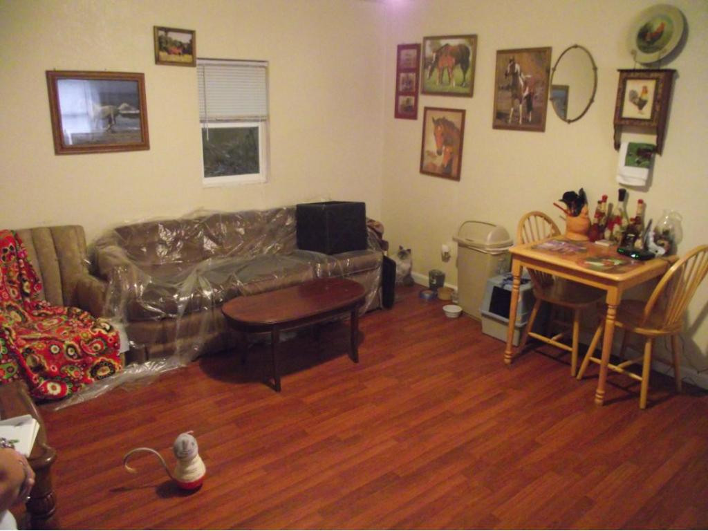 6101 Orebank Road, Unit 4 Kingsport, TN 37664 - Photo 2 of 19 Apt 1 Living area