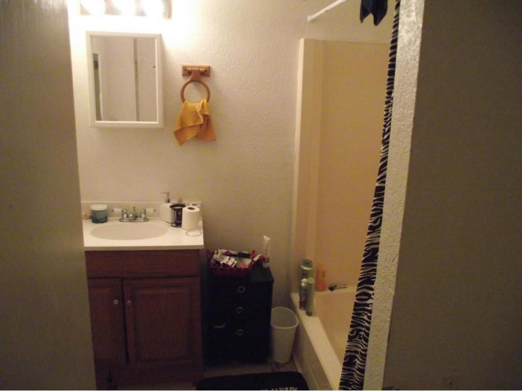 6101 Orebank Road, Unit 4 Kingsport, TN 37664 - Photo 7 of 19 Apt 2 Bath downstairs
