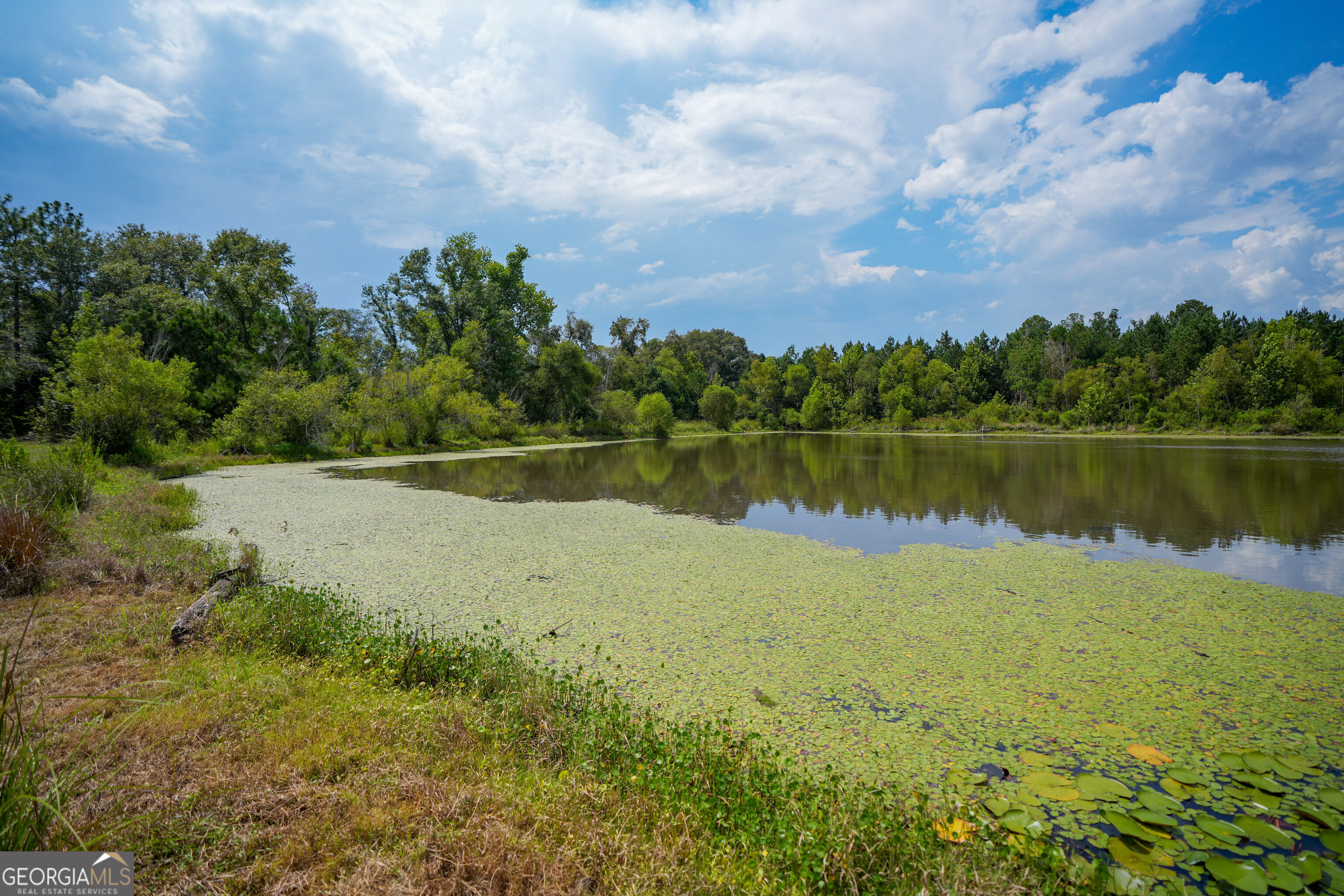 1833 Tom Odum Road Vidalia, GA 30474 - Photo 111 of 118 Gallery Image 111
