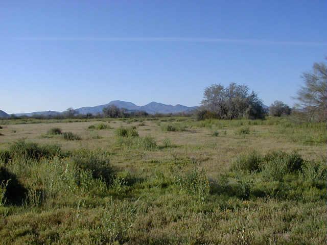 0 West Superior Road, Unit 40 Maricopa, AZ 85139 - Photo 1 of 2 Primary Photo