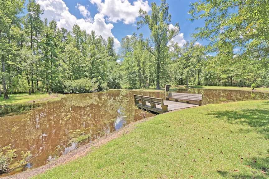 0 Coast Line Road Salters, SC 29590 - Photo 36 of 37